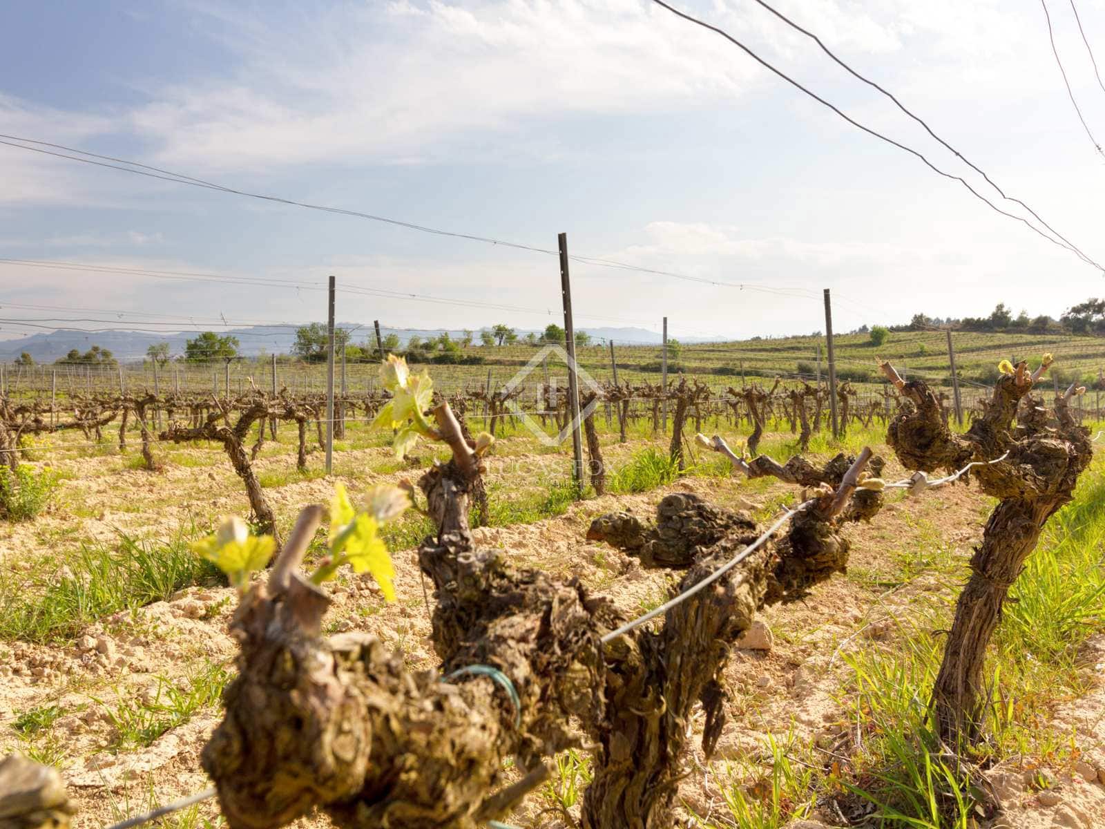 15 soveværelse Finca/Landehus til salg i El Molar med swimmingpool garage - € 5.250.000 (Ref: 7526948)