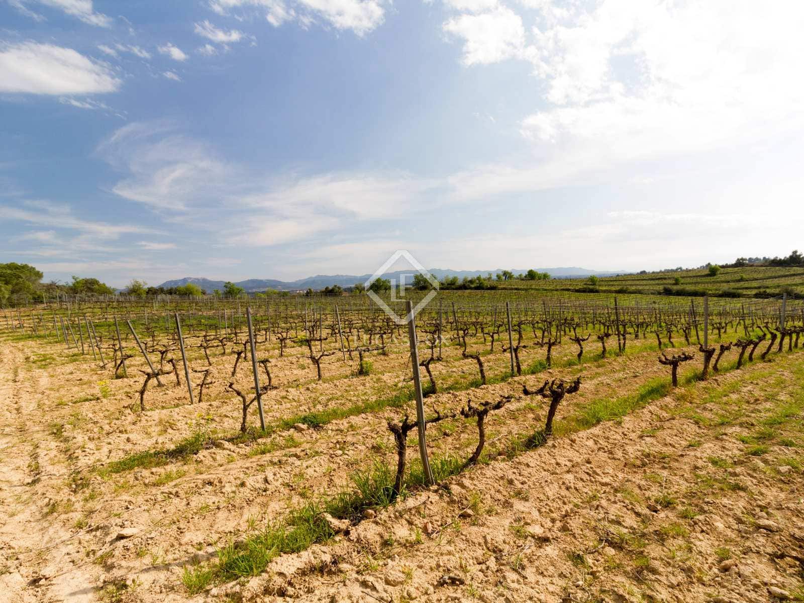 15 soveværelse Finca/Landehus til salg i El Molar med swimmingpool garage - € 5.250.000 (Ref: 7526948)