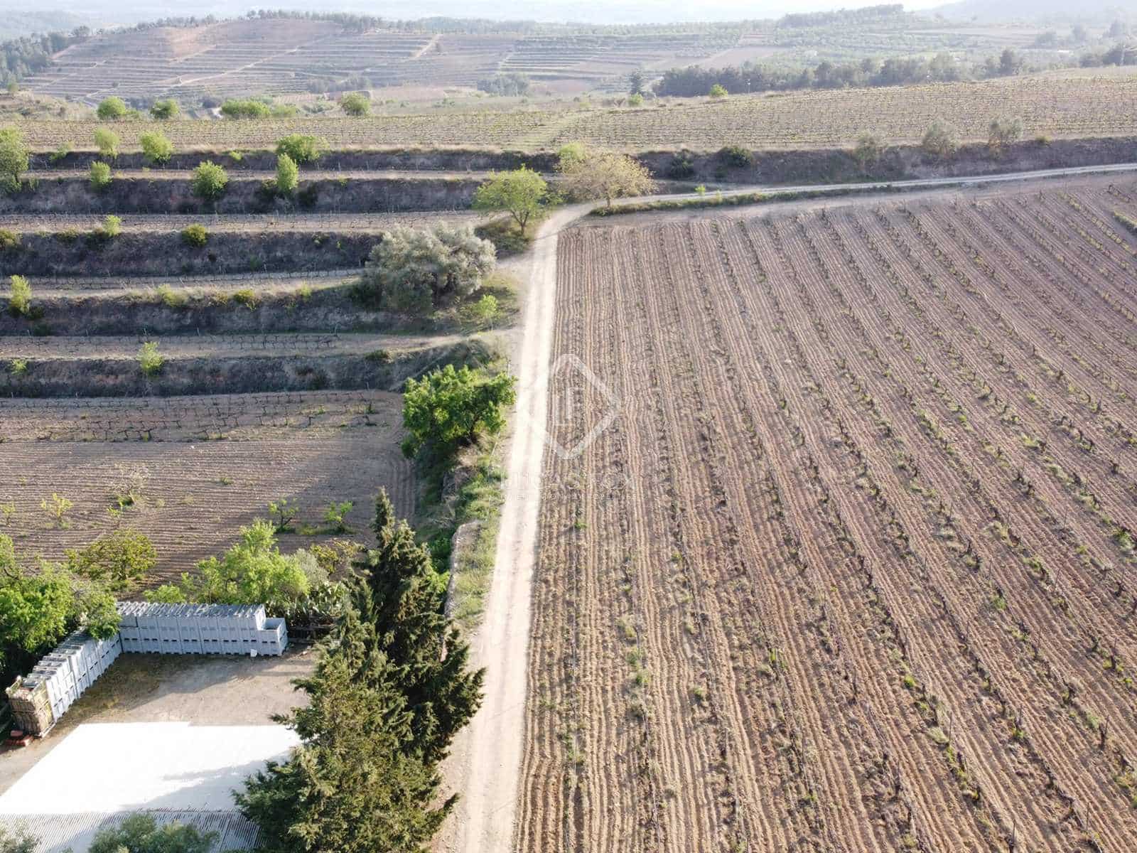 15 soveværelse Finca/Landehus til salg i El Molar med swimmingpool garage - € 5.250.000 (Ref: 7526948)