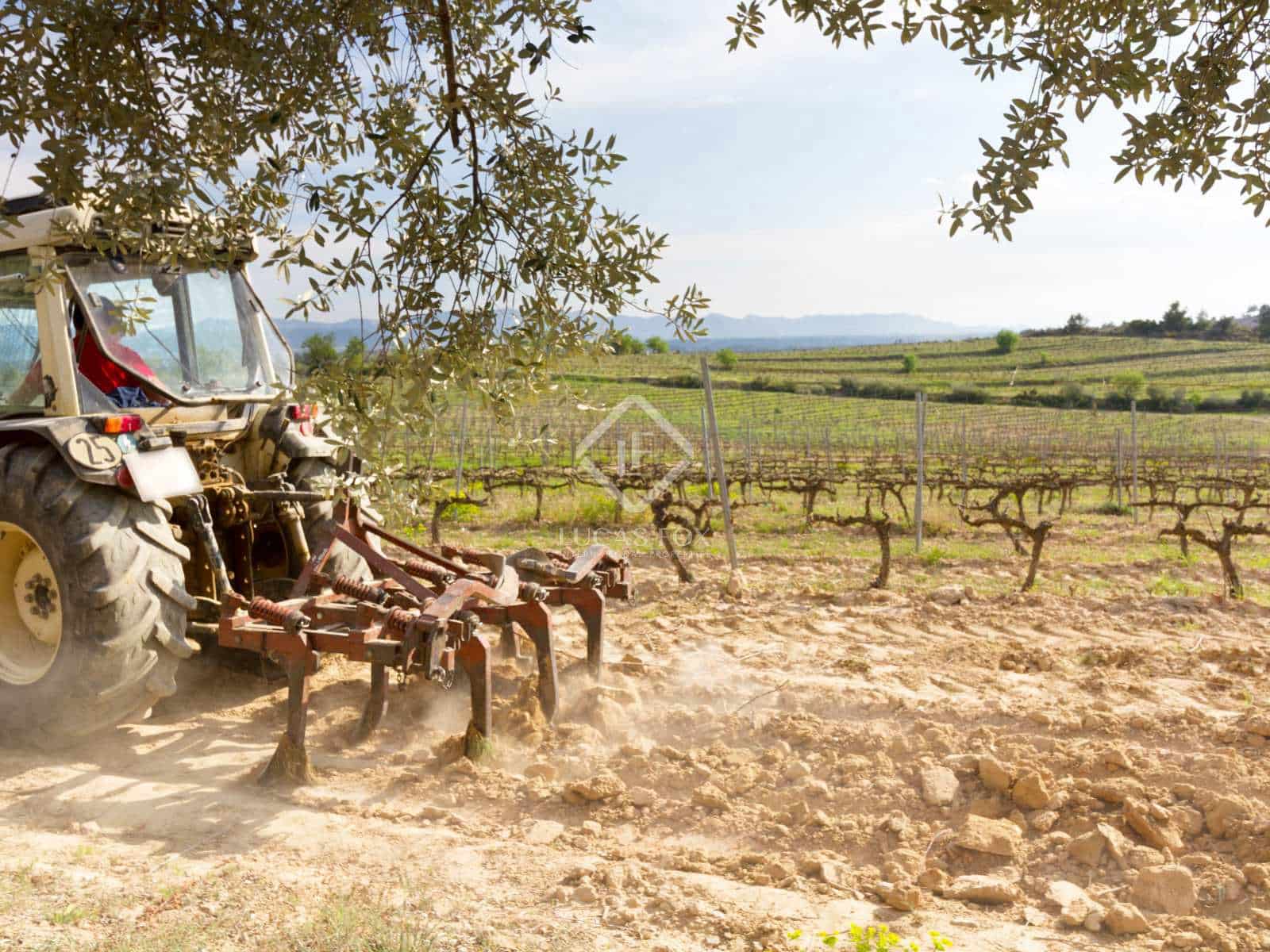 15 soveværelse Finca/Landehus til salg i El Molar med swimmingpool garage - € 5.250.000 (Ref: 7526948)