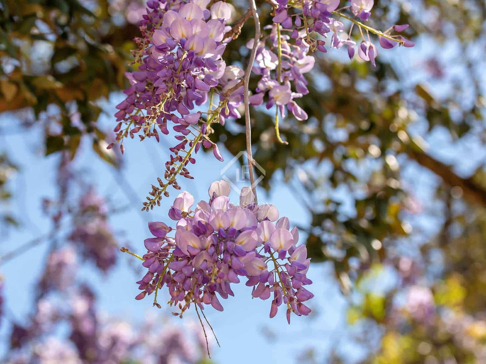 5 soverom Villa til salgs i Santa Cristina d'Aro med svømmebasseng garasje - € 1 480 000 (Ref: 7533404)