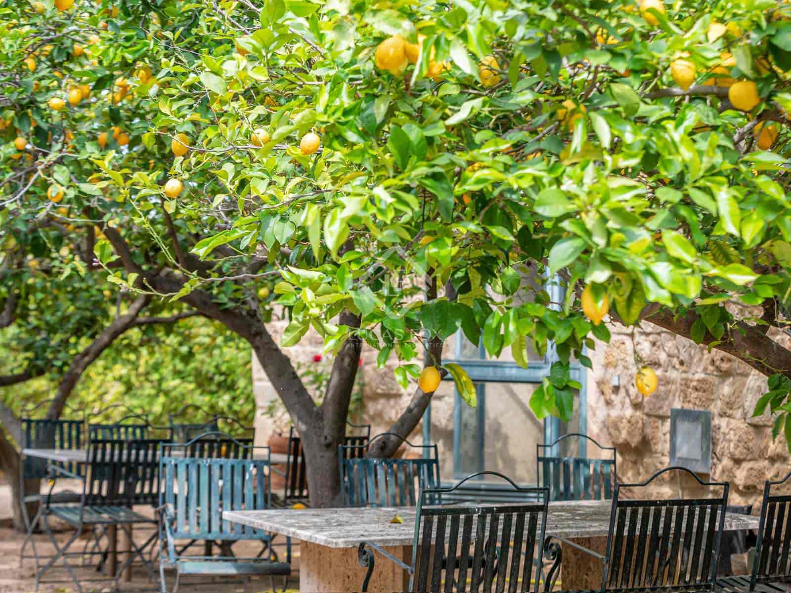 16 soverom Finca/Herregård til salgs i Vilademuls med svømmebasseng garasje - € 3 000 000 (Ref: 7662624)