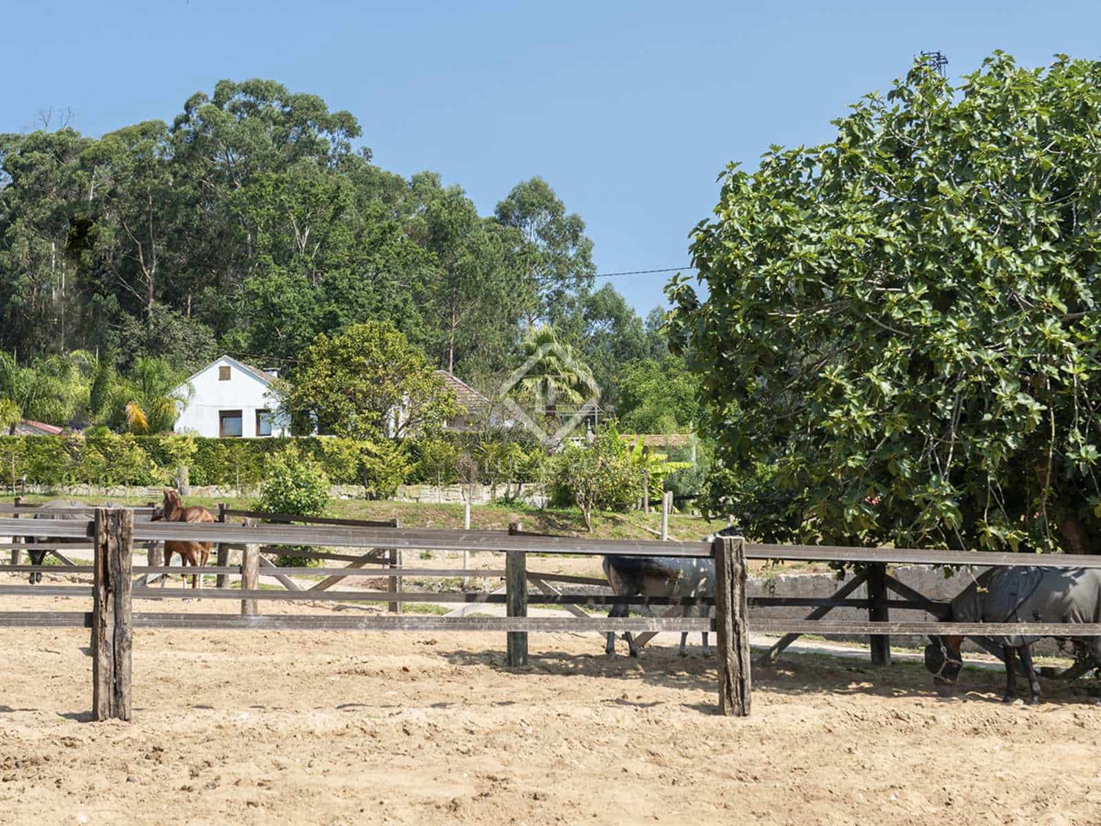 4 bedroom Finca/Country House for sale in Nigran with garage - € 1,350,000 (Ref: 7697450)