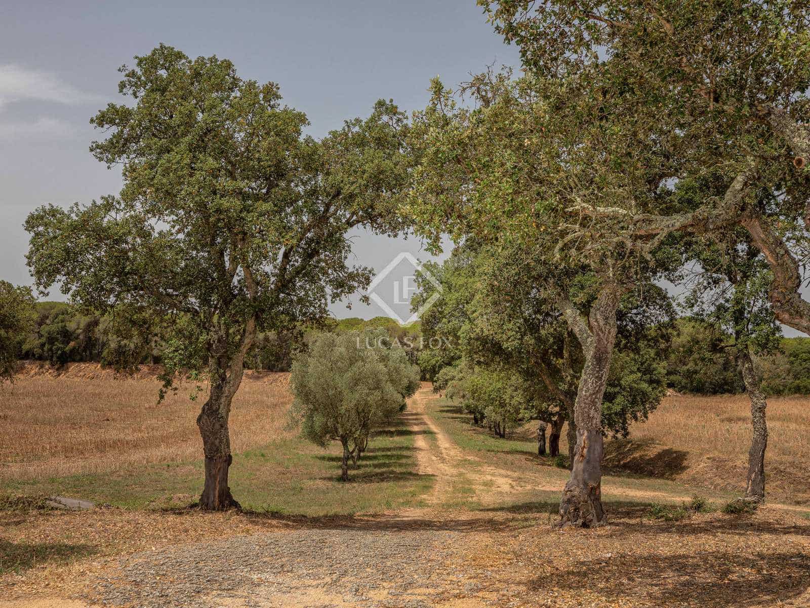 5 soveværelse Finca/Landehus til salg i Llagostera - € 1.000.000 (Ref: 7709803)