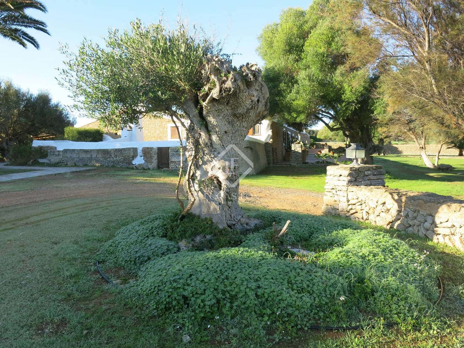 7 sypialnia Finka/Dom wiejski na sprzedaż w Alayor / Alaior z basenem garażem - 6 000 000 € (Ref: 7897259)