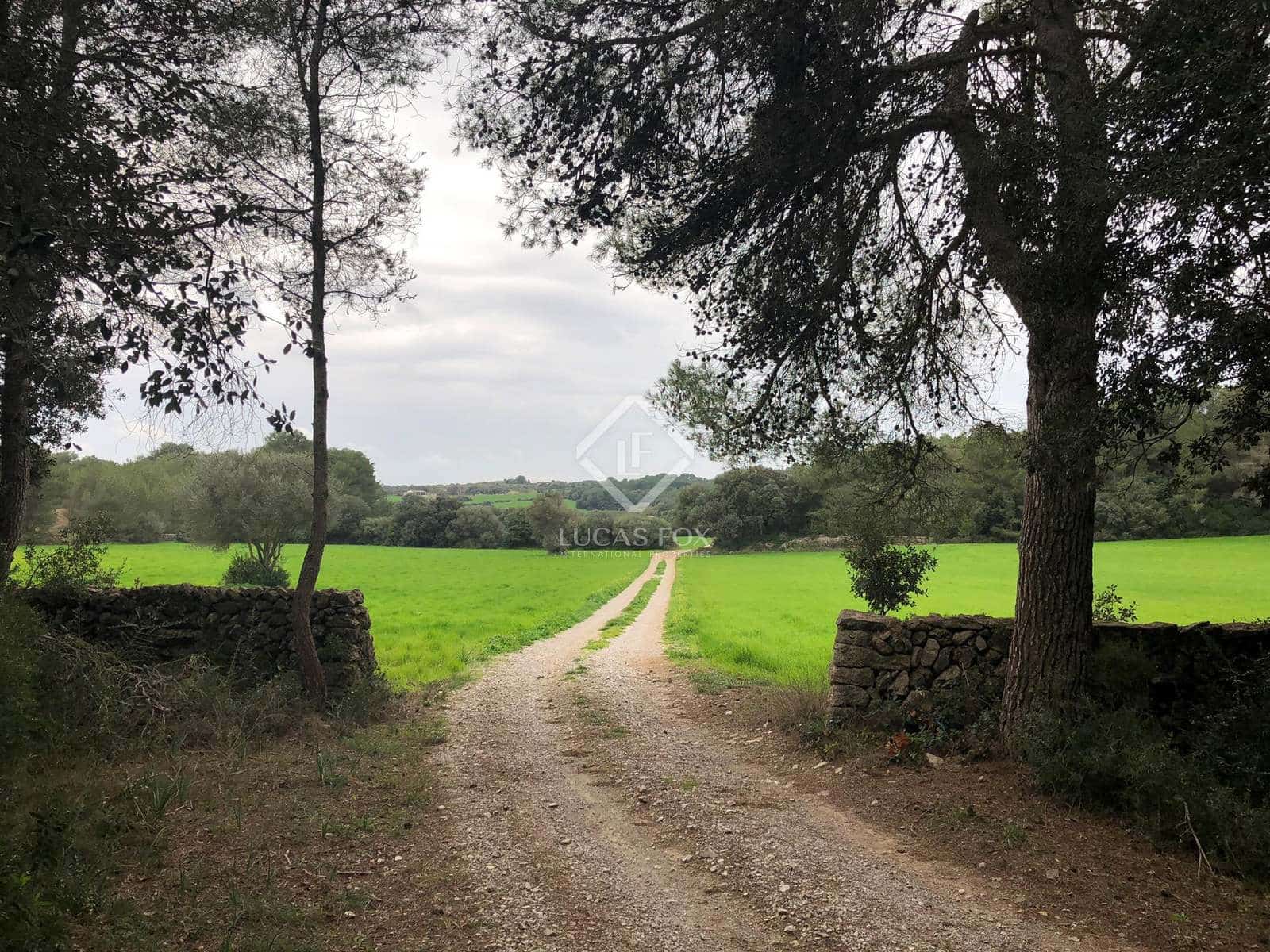 7 sypialnia Finka/Dom wiejski na sprzedaż w Alayor / Alaior z basenem garażem - 6 000 000 € (Ref: 7897259)