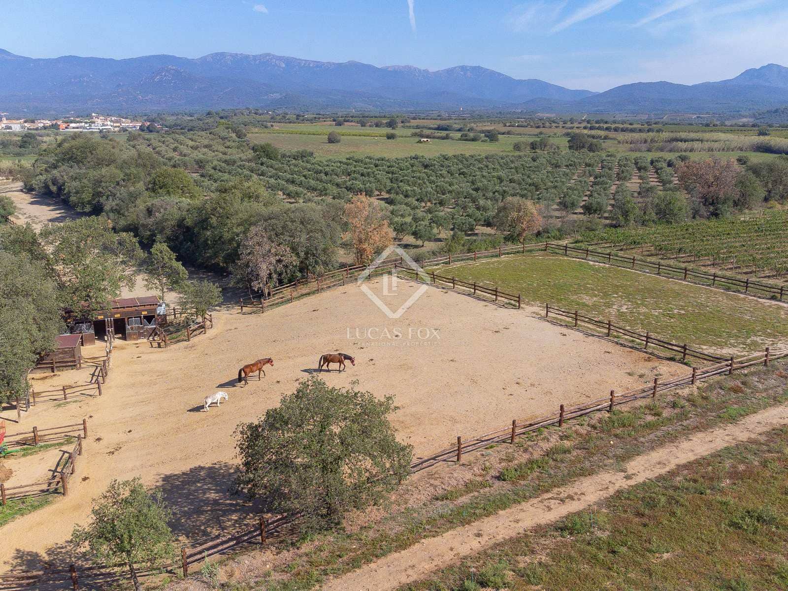 4 soveværelse Finca/Landehus til salg i Masarac med swimmingpool garage - € 975.000 (Ref: 7901465)