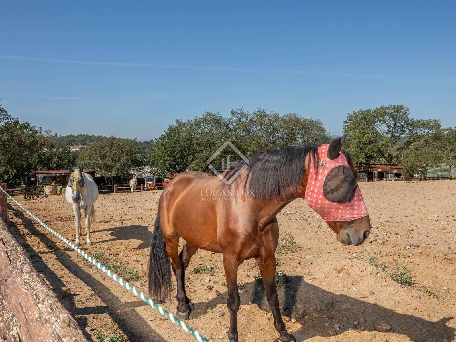 4 soveværelse Finca/Landehus til salg i Masarac med swimmingpool garage - € 975.000 (Ref: 7901465)