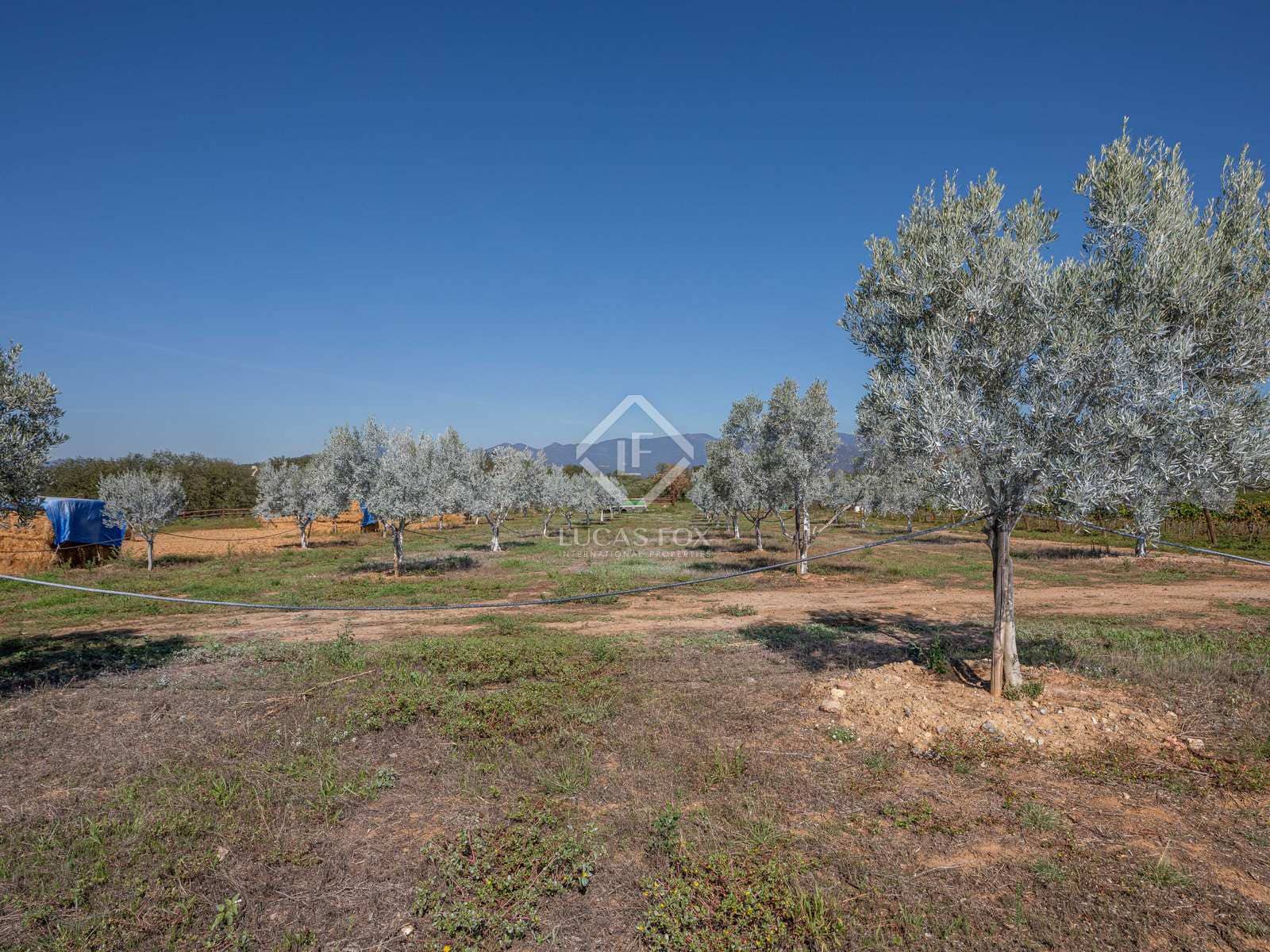 4 soveværelse Finca/Landehus til salg i Masarac med swimmingpool garage - € 975.000 (Ref: 7901465)