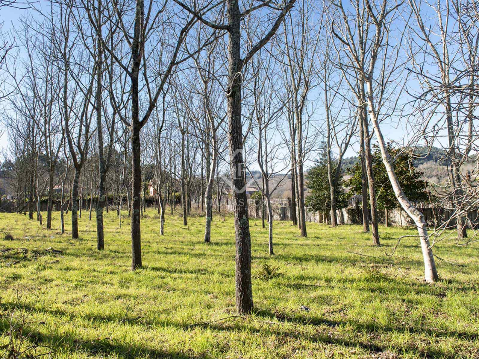 4 slaapkamer Villa te koop in Portas met garage - € 270.000 (Ref: 7977761)