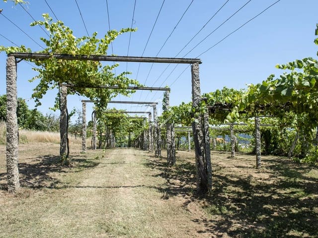 Bouwgrond te koop in Meis - € 1.580.000 (Ref: 7977762)