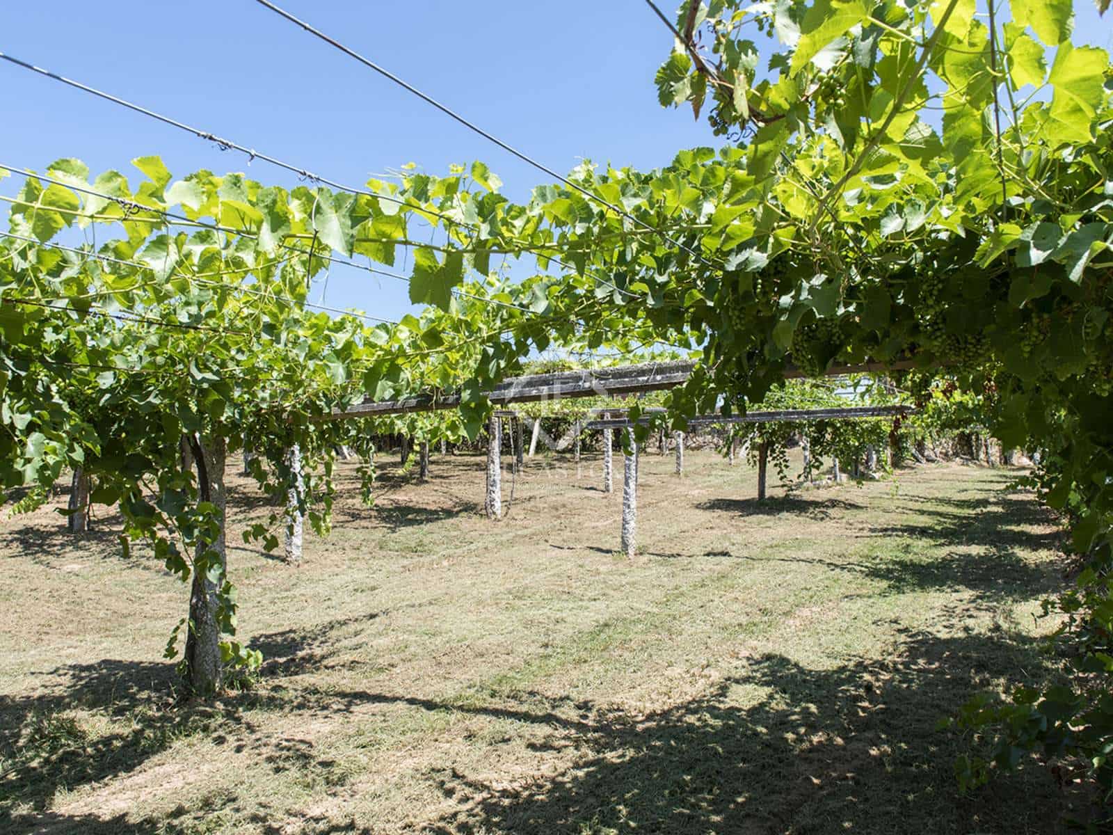 Byggegrund til salg i Meis - € 1.580.000 (Ref: 7977762)