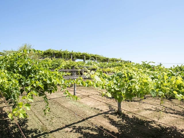 Bouwgrond te koop in Meis - € 1.580.000 (Ref: 7977762)