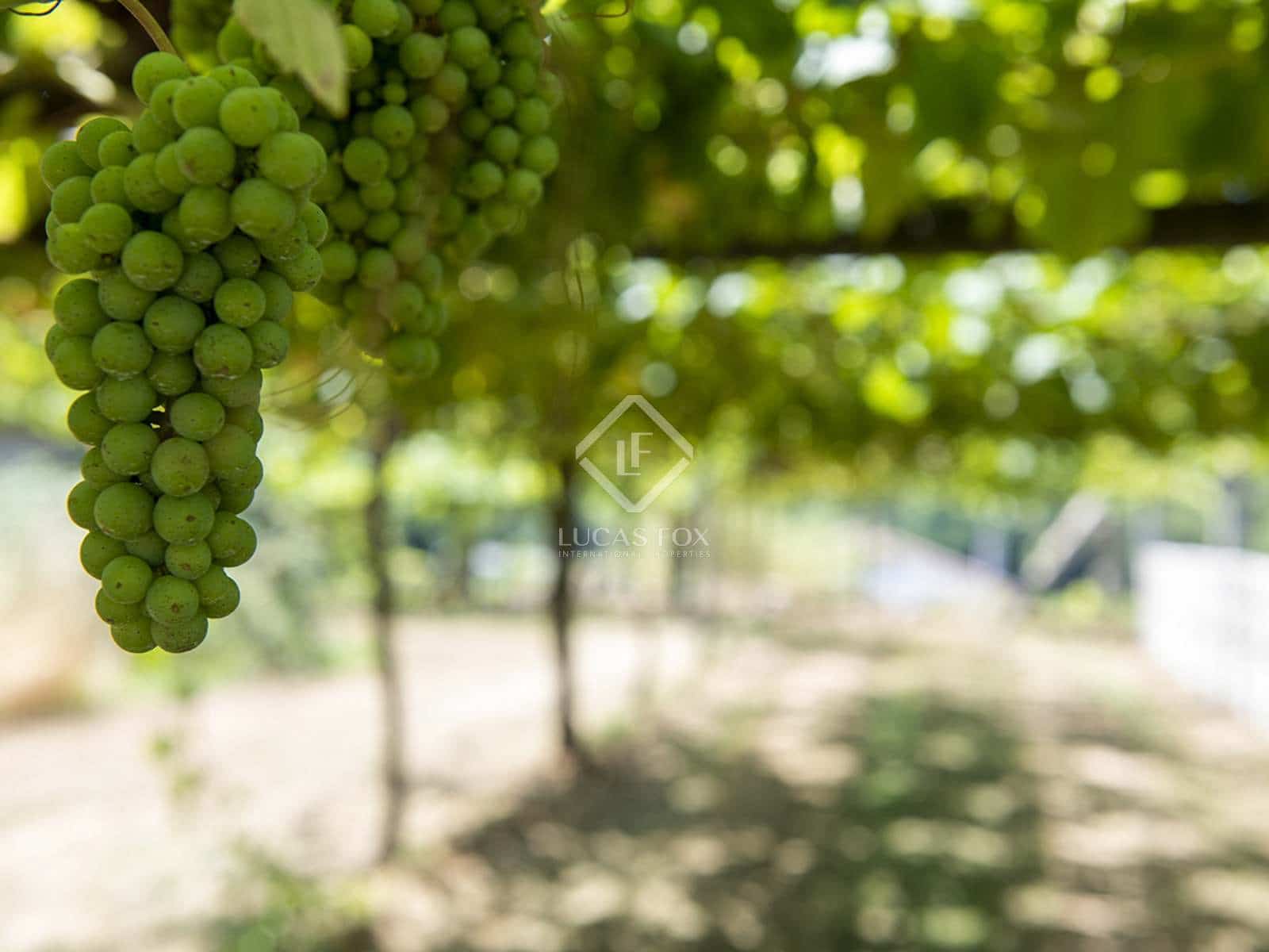 Byggegrund til salg i Meis - € 1.580.000 (Ref: 7977762)