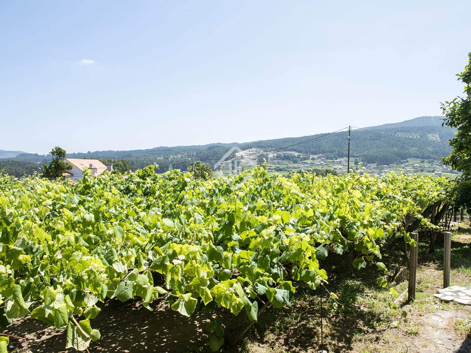 Byggegrund til salg i Meis - € 1.580.000 (Ref: 7977762)