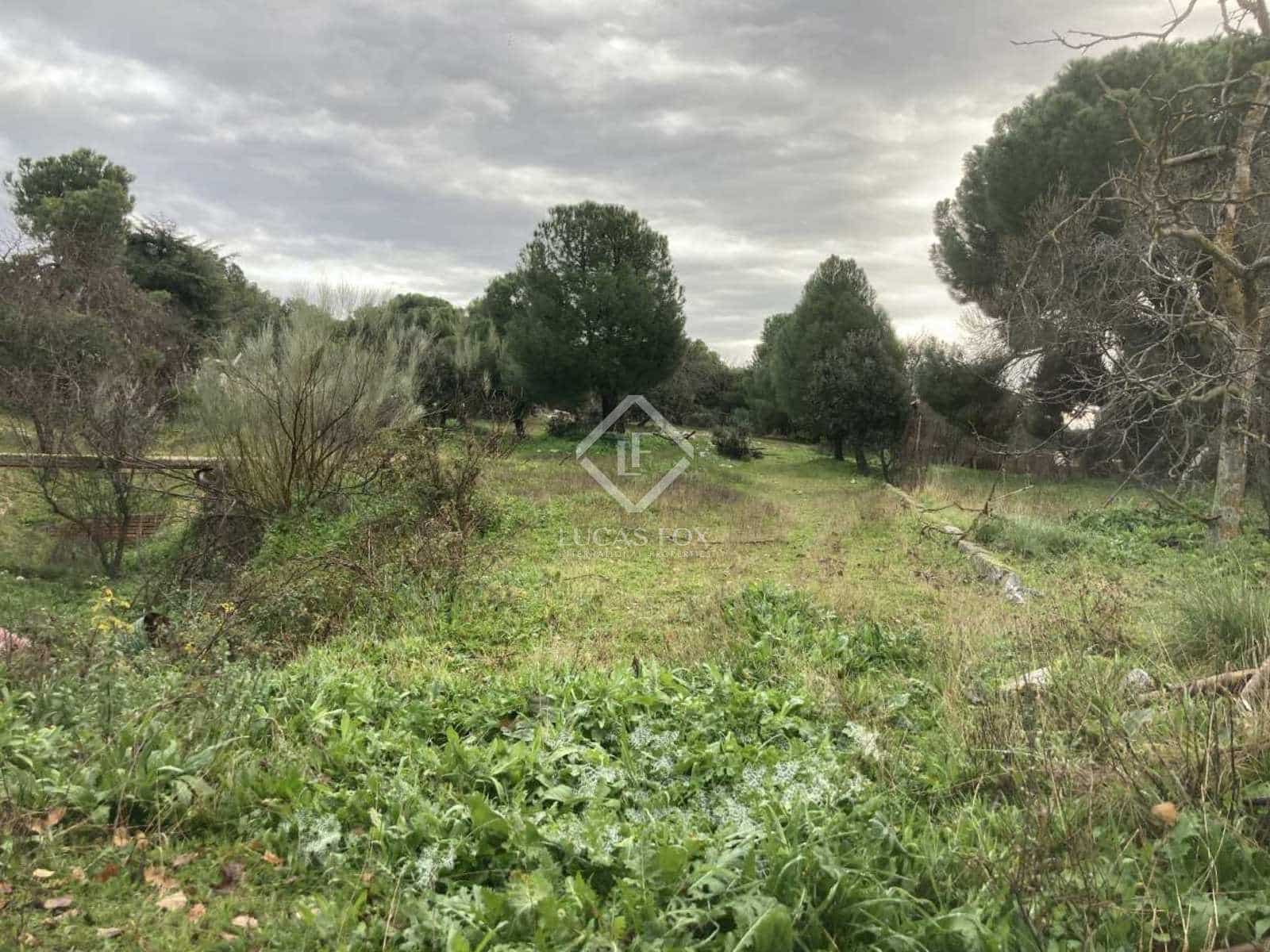 Działka budowlana na sprzedaż w Majadahonda - 1 500 000 € (Ref: 8024840)