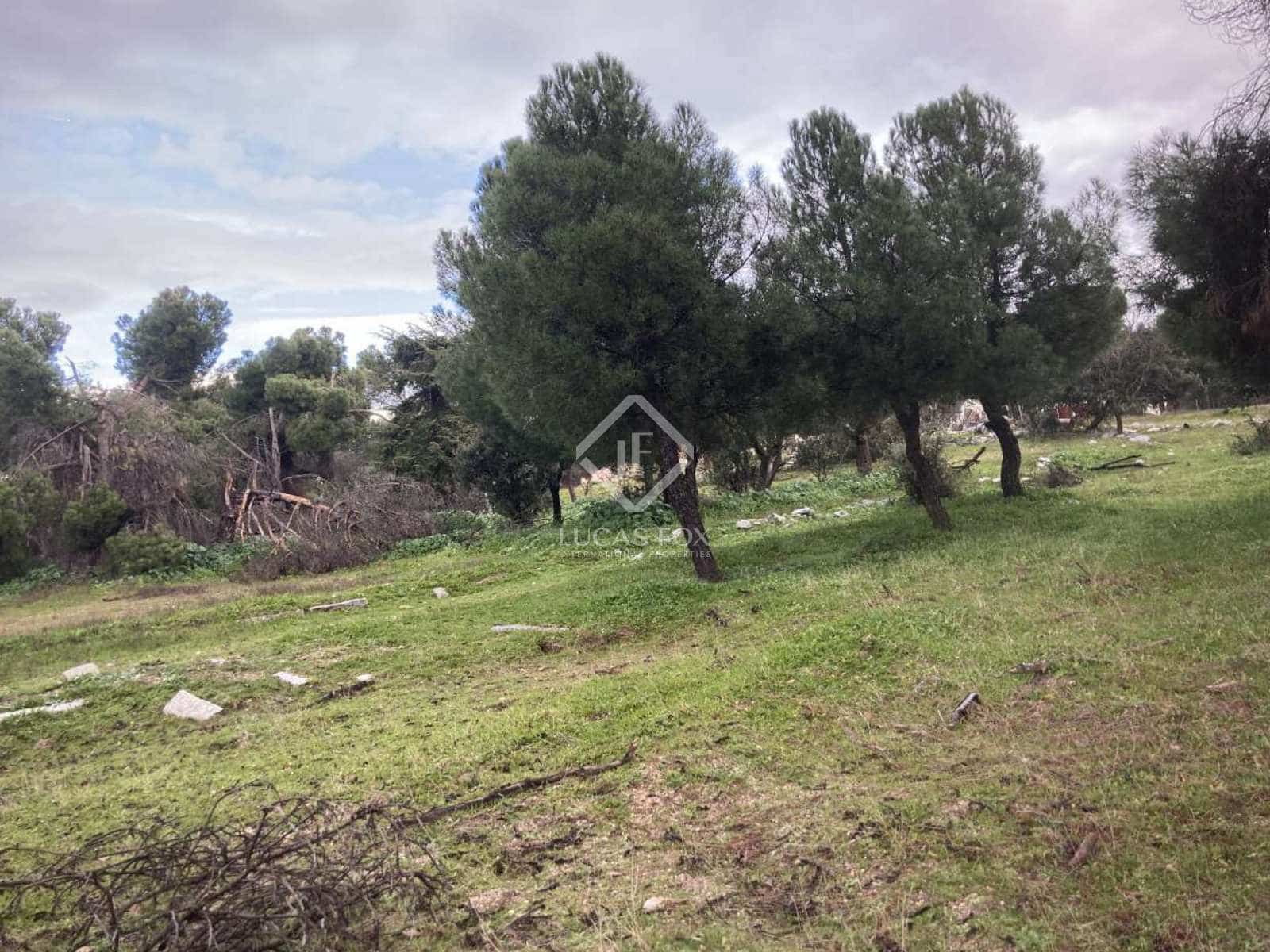 Działka budowlana na sprzedaż w Majadahonda - 1 500 000 € (Ref: 8024840)