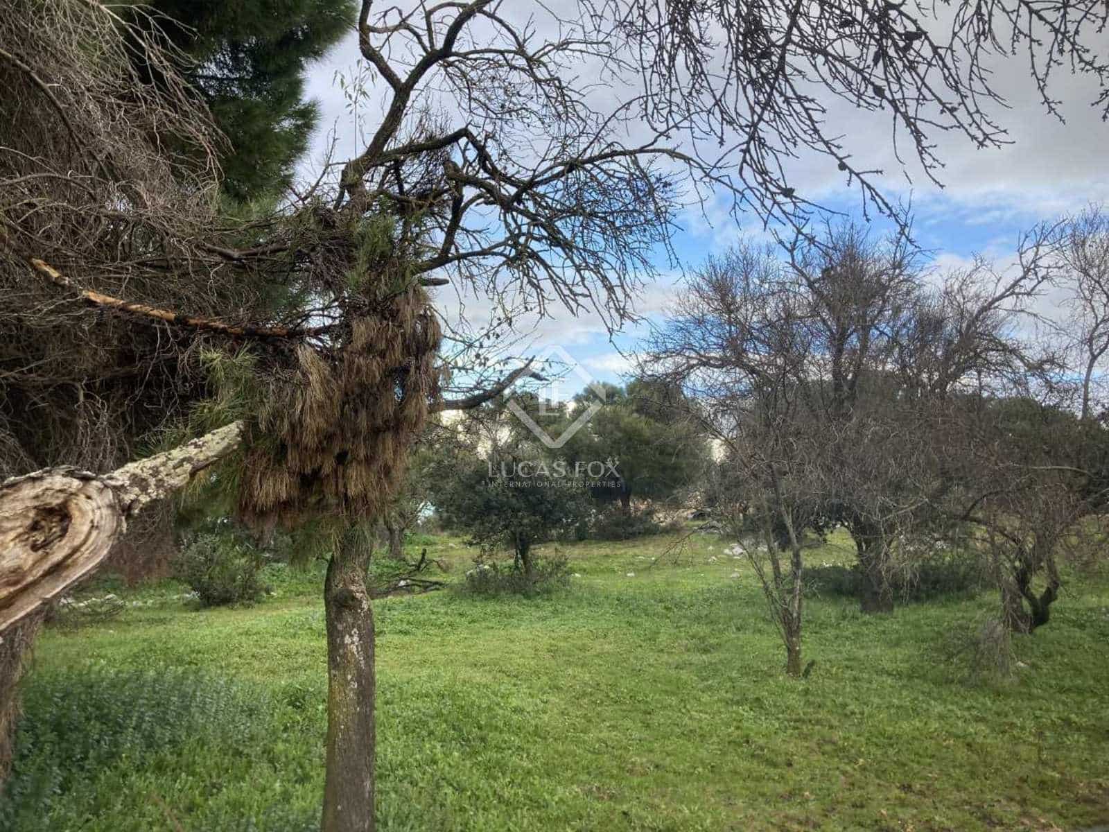 Działka budowlana na sprzedaż w Majadahonda - 1 500 000 € (Ref: 8024840)