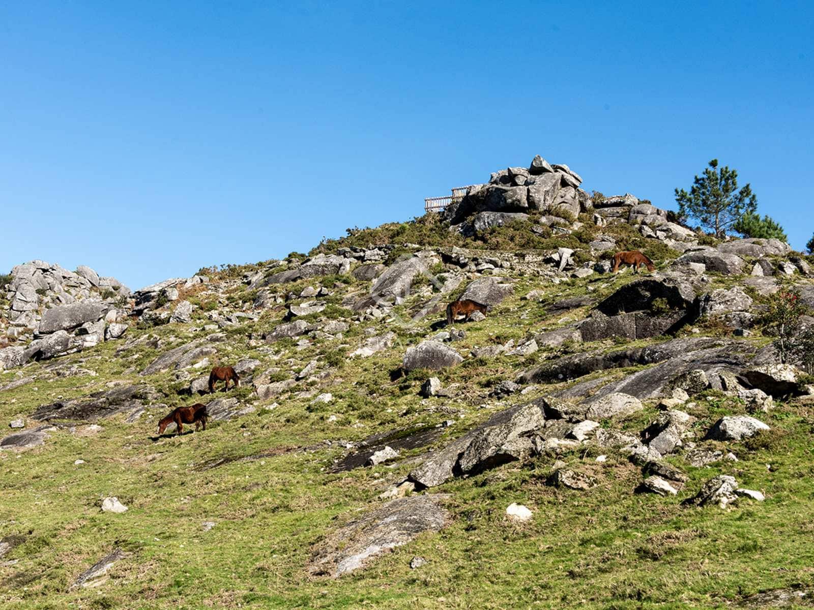 5 chambre Villa/Maison à vendre à Gondomar avec garage - 475 000 € (Ref: 8038969)