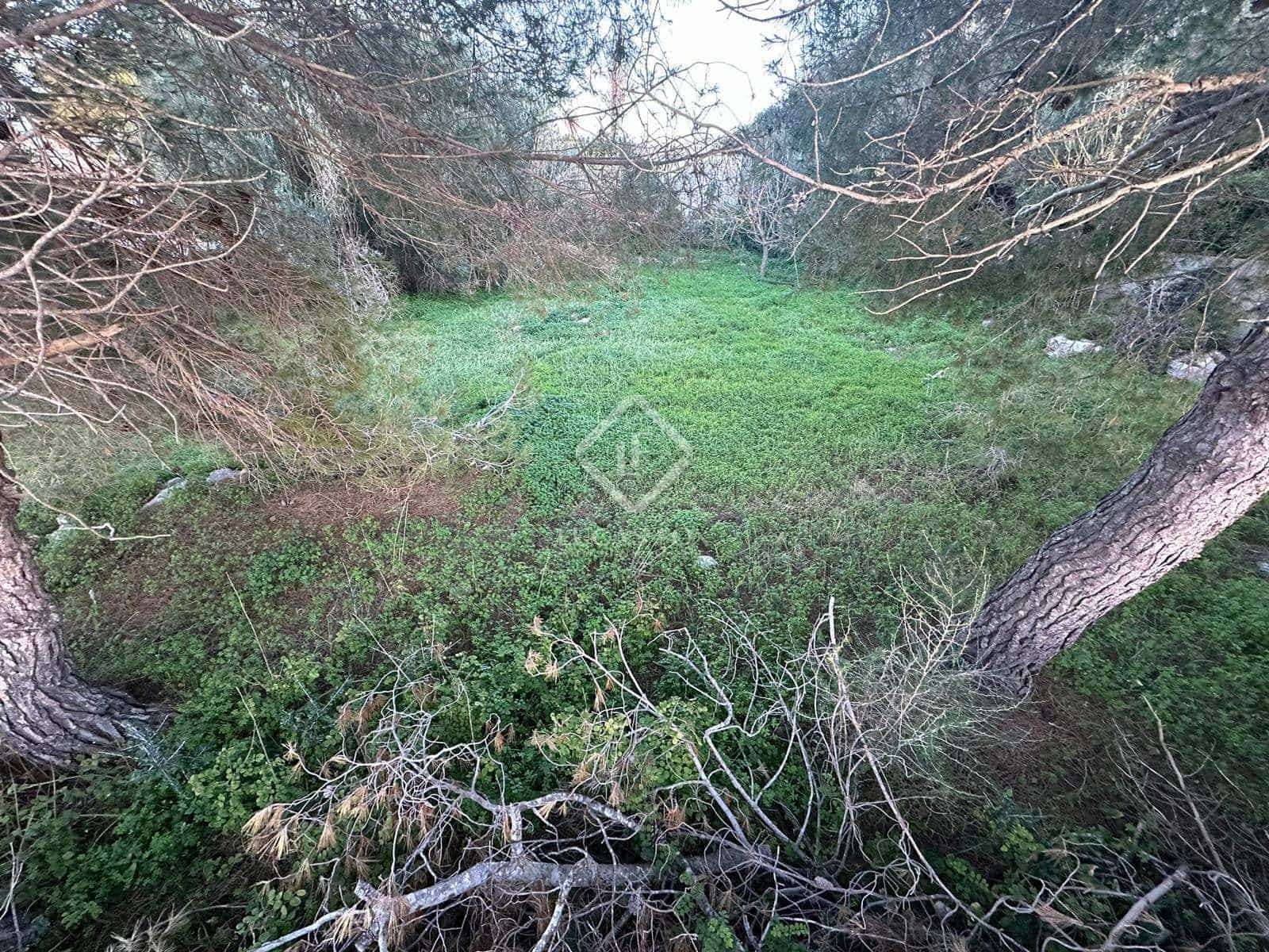 Tomt till salu i Alayor / Alaior - 165 000 € (Ref: 8049550)