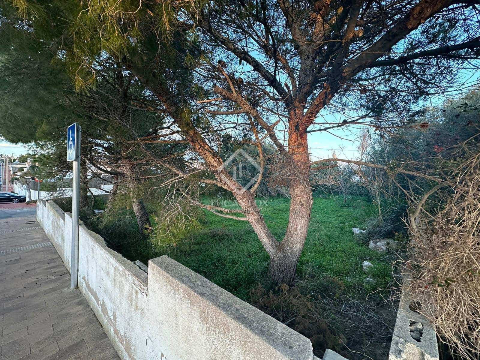 Tomt till salu i Alayor / Alaior - 165 000 € (Ref: 8049550)