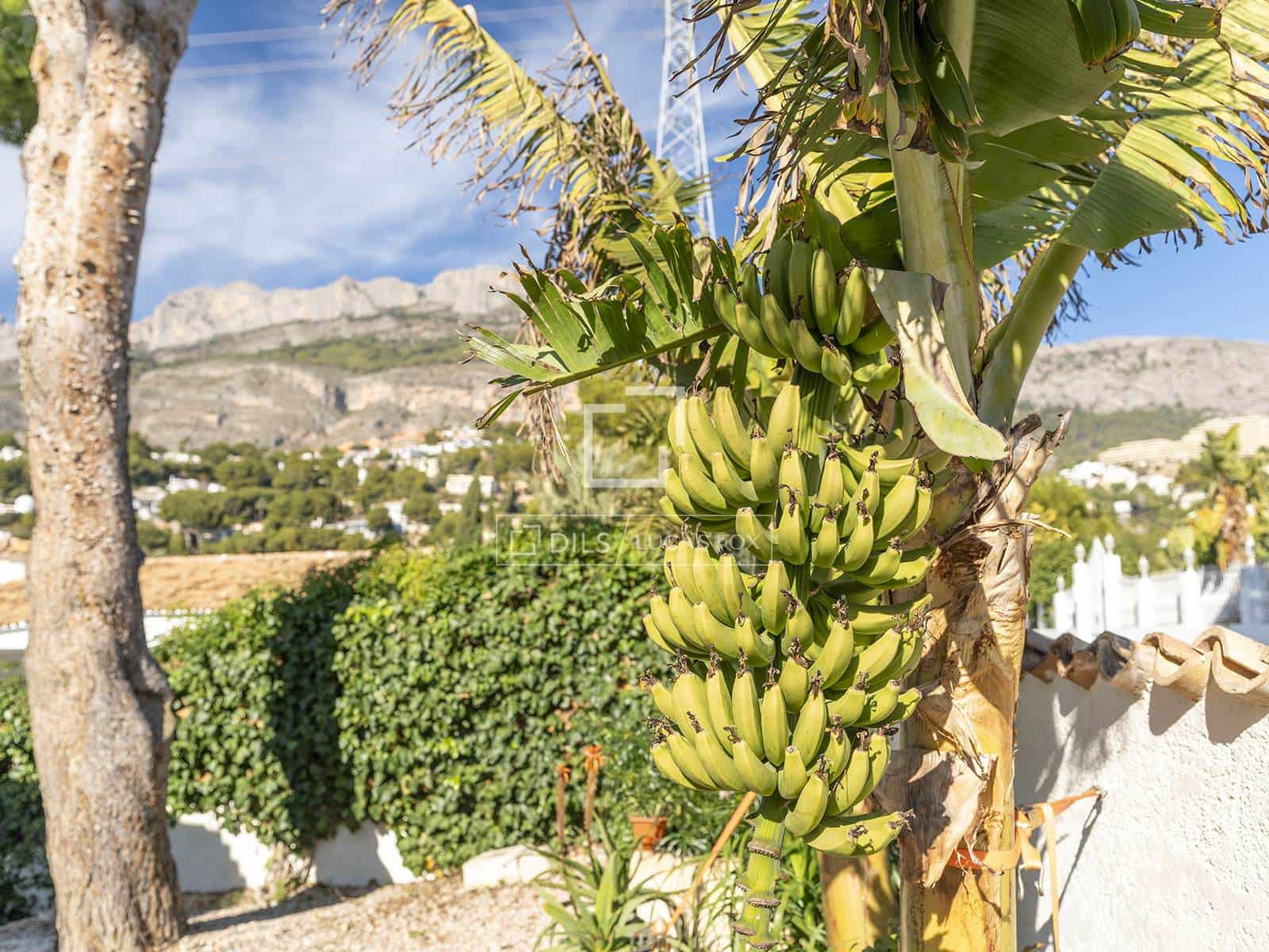 5 quarto Moradia para venda em Altea com piscina garagem - 949 000 € (Ref: 8052154)