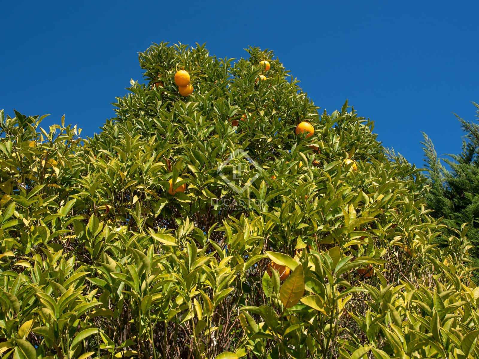 5 slaapkamer Villa te koop in Sant Antoni de Calonge met zwembad garage - € 950.000 (Ref: 8061944)