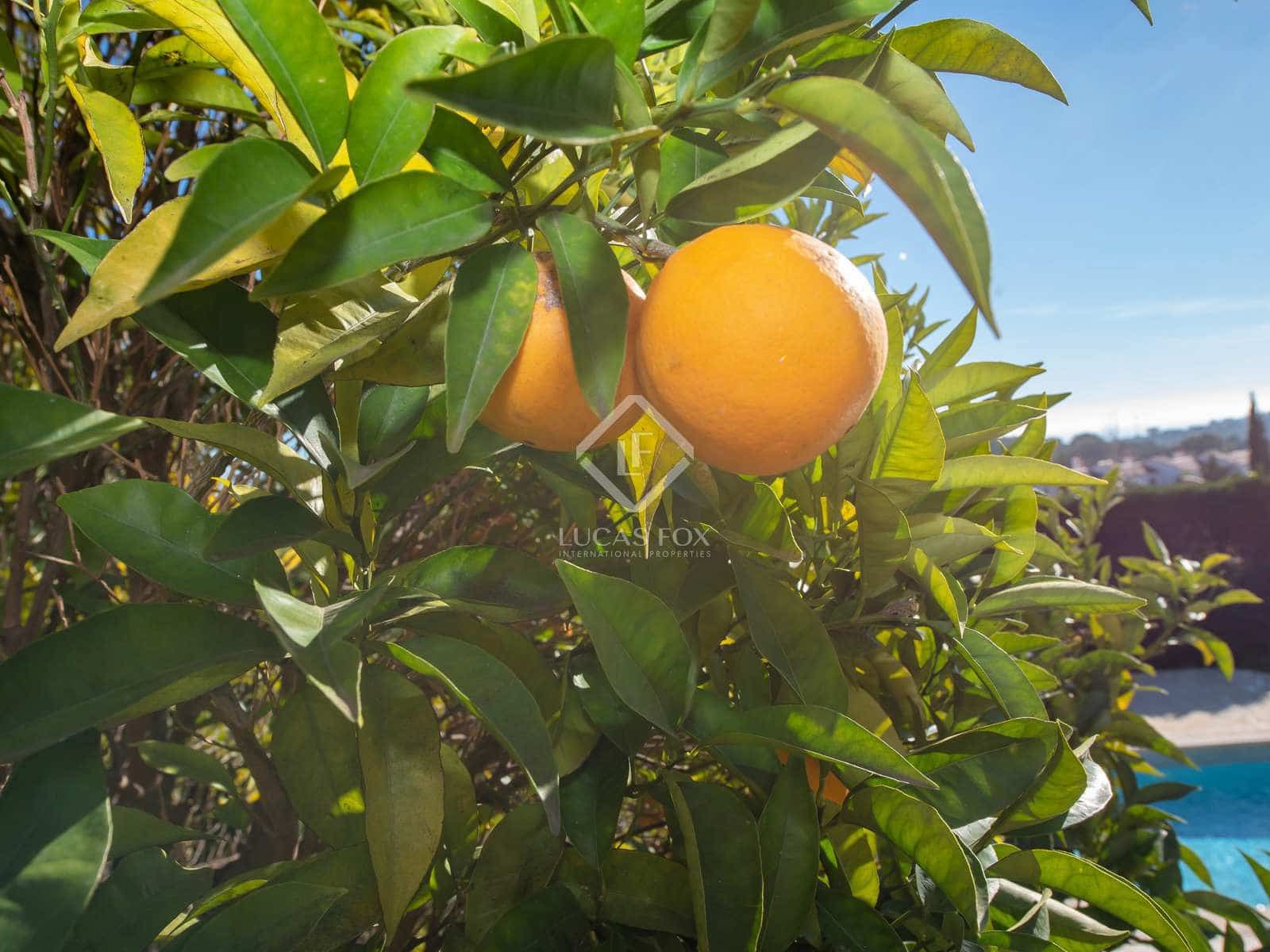 5 slaapkamer Villa te koop in Sant Antoni de Calonge met zwembad garage - € 950.000 (Ref: 8061944)