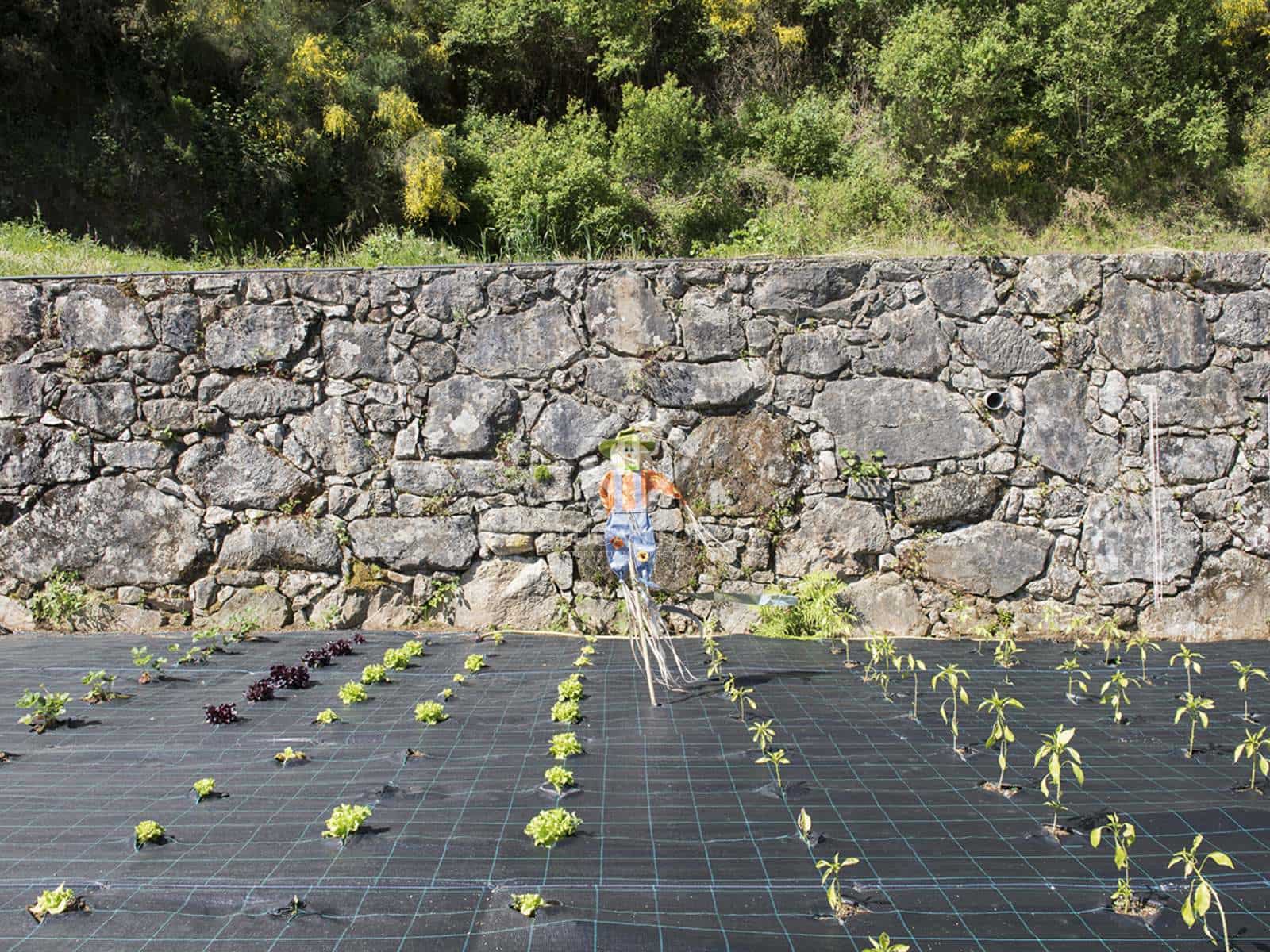 4 soveværelse Villa til salg i Meis med garage - € 675.000 (Ref: 8067012)