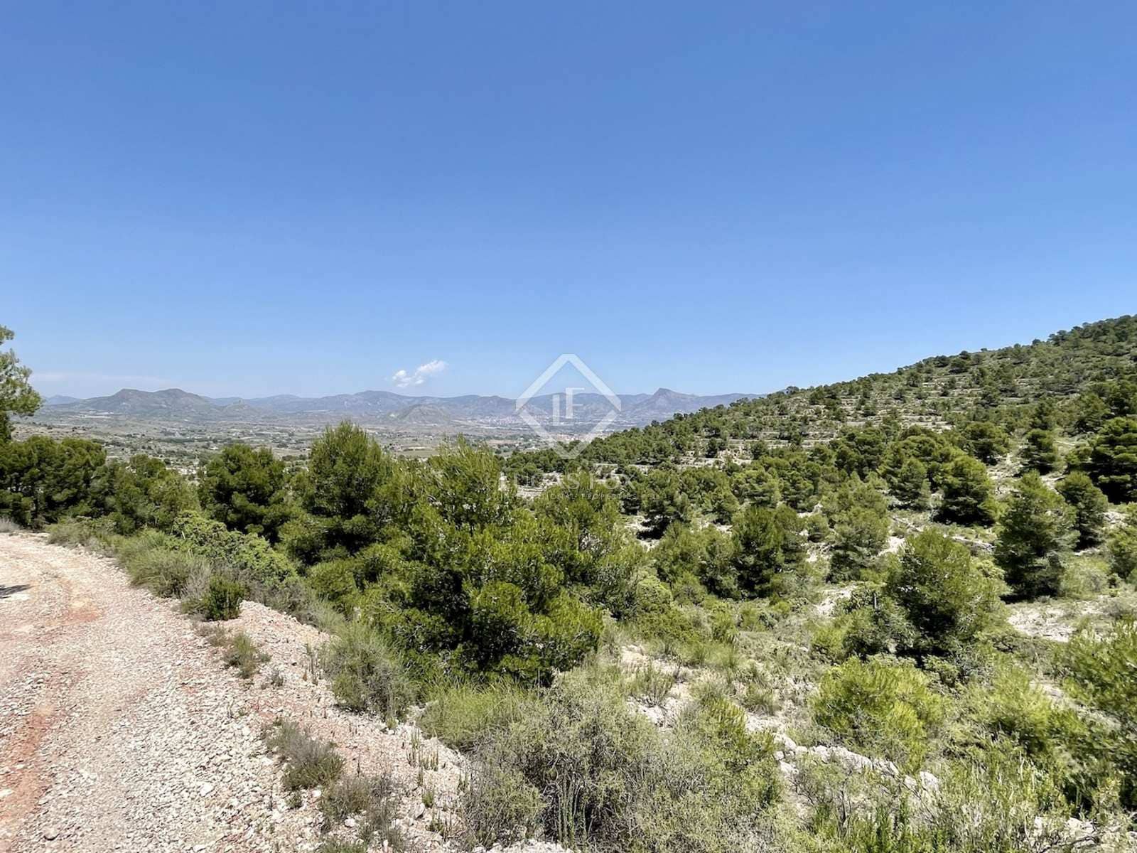 7 chambre Villa/Maison à vendre à Monovar / Monover - 2 400 000 € (Ref: 8082998)