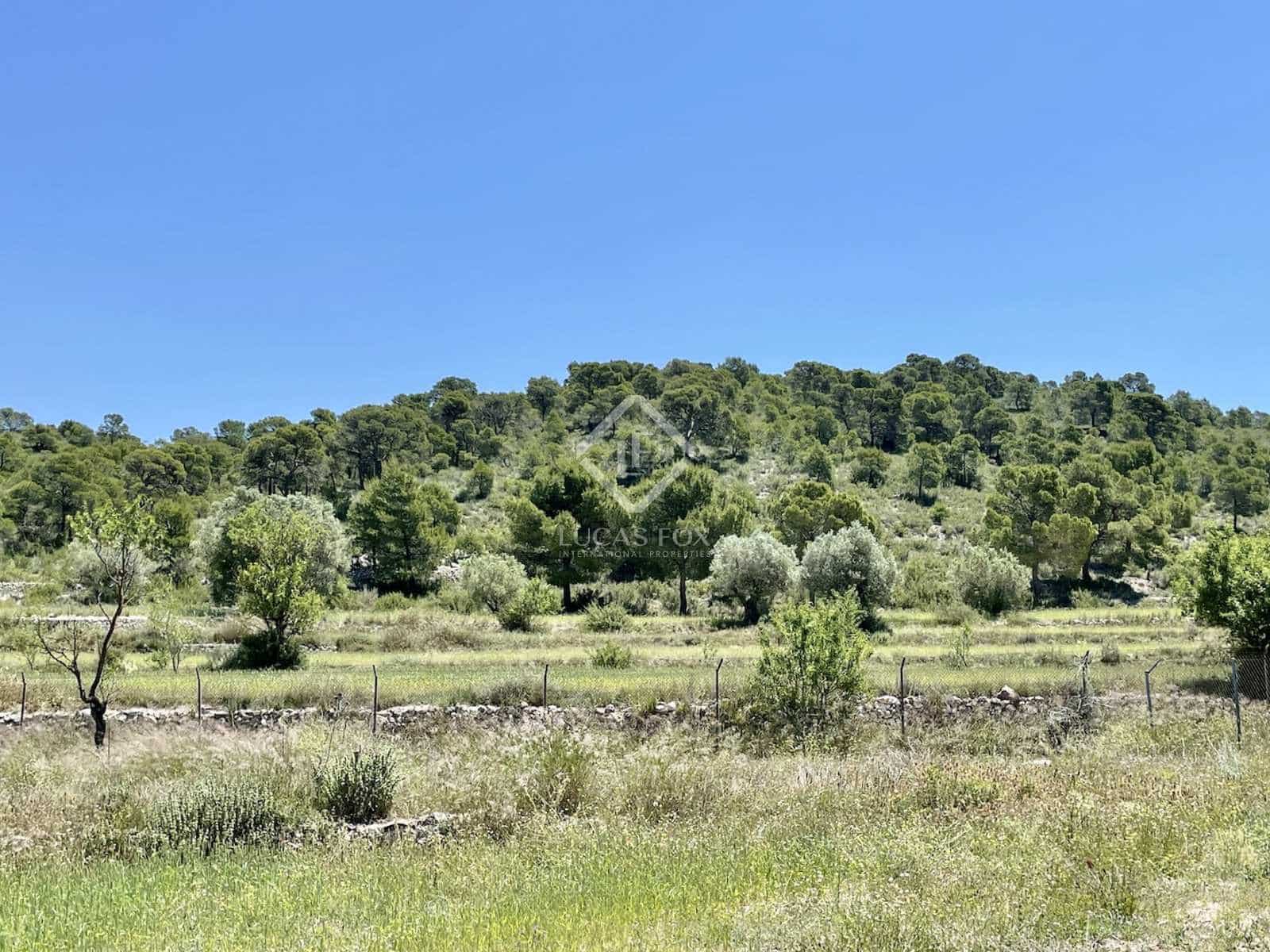 7 chambre Villa/Maison à vendre à Monovar / Monover - 2 400 000 € (Ref: 8082998)