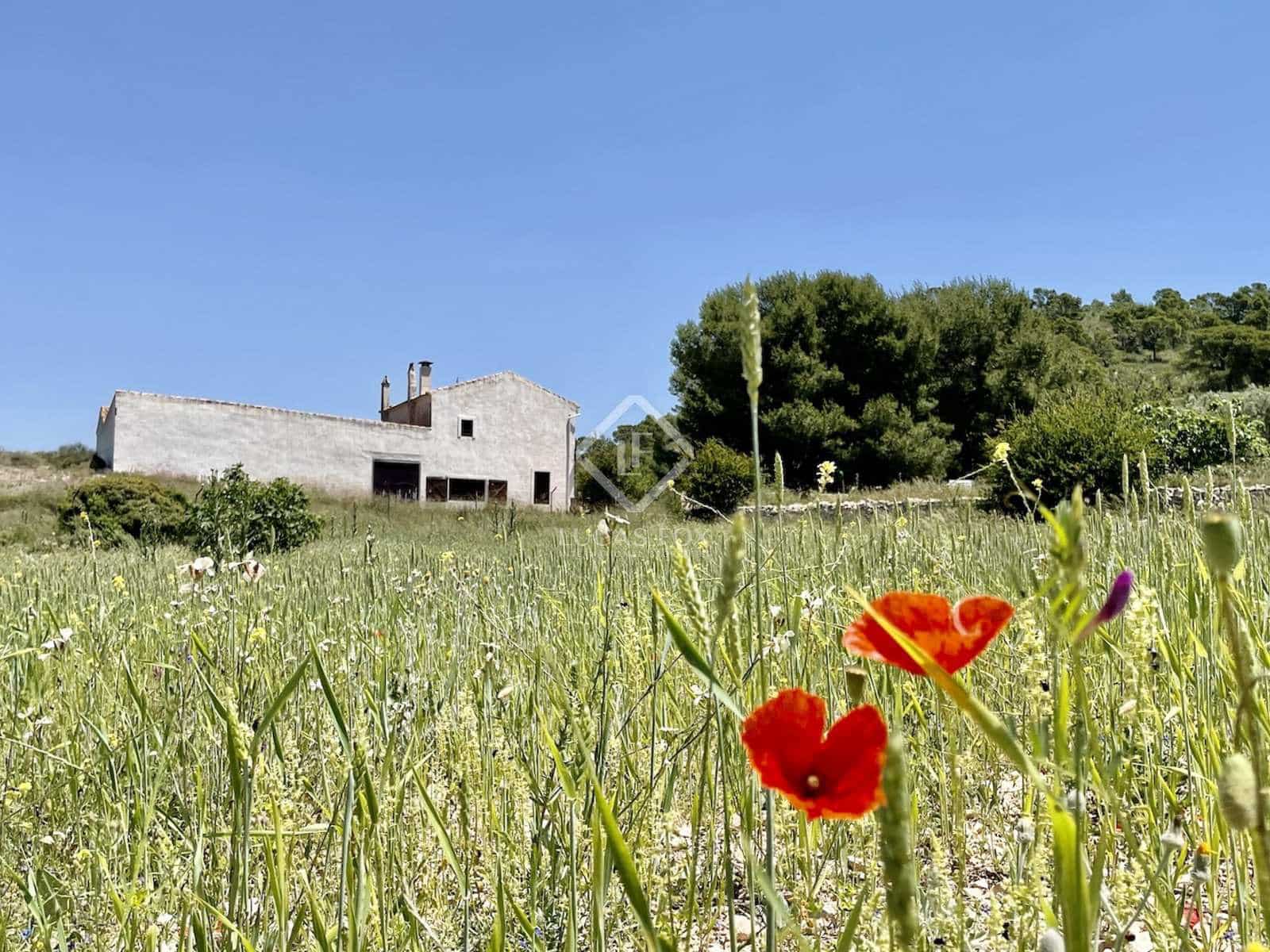 7 chambre Villa/Maison à vendre à Monovar / Monover - 2 400 000 € (Ref: 8082998)