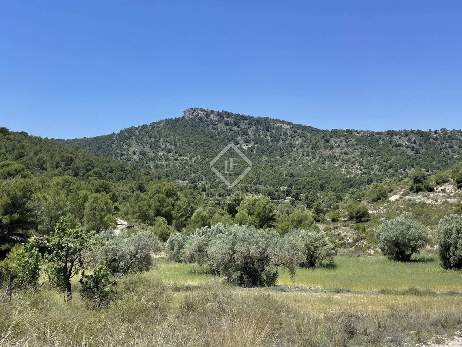 7 chambre Villa/Maison à vendre à Monovar / Monover - 2 400 000 € (Ref: 8082998)