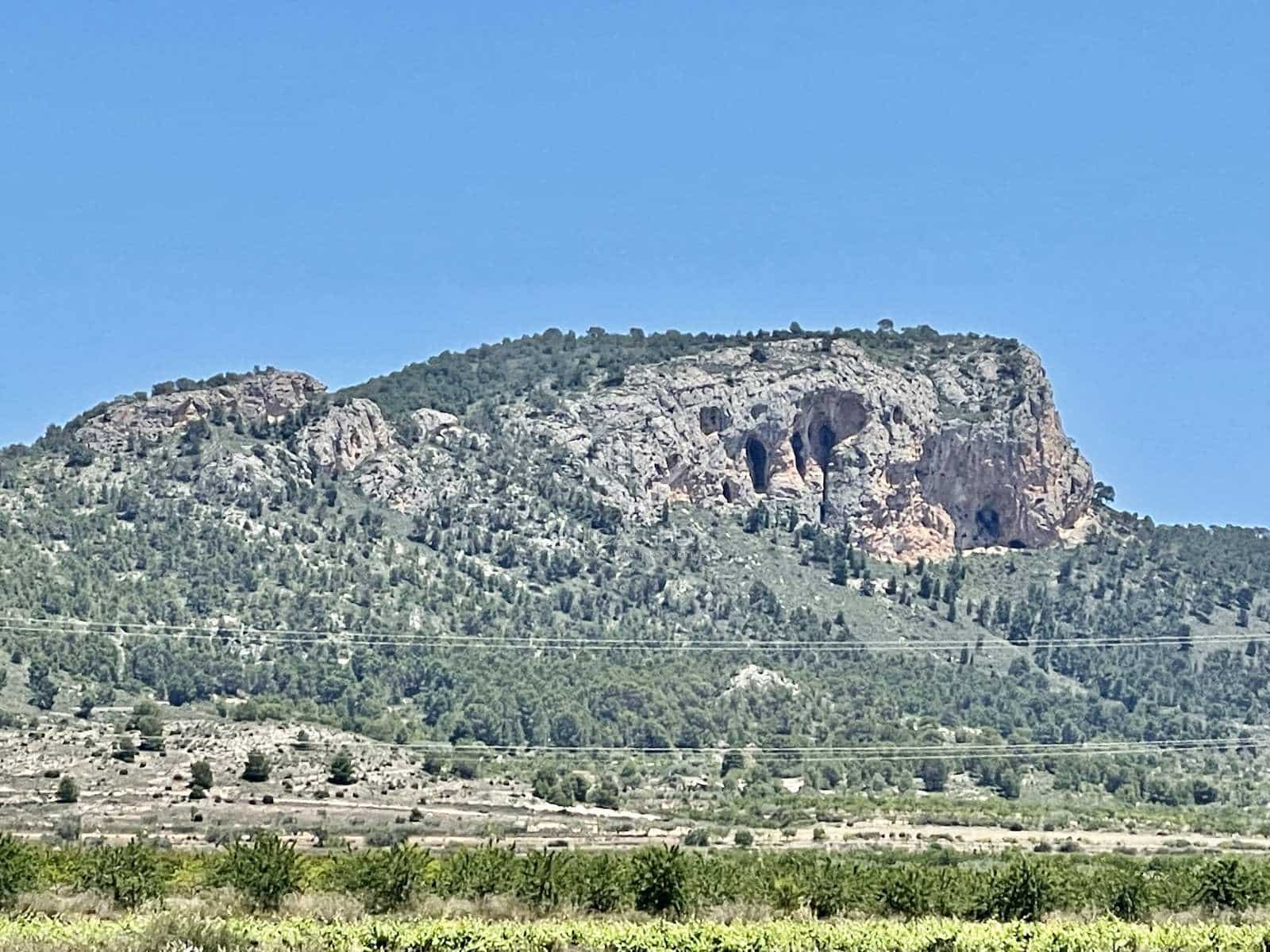 7 chambre Villa/Maison à vendre à Monovar / Monover - 2 400 000 € (Ref: 8082998)