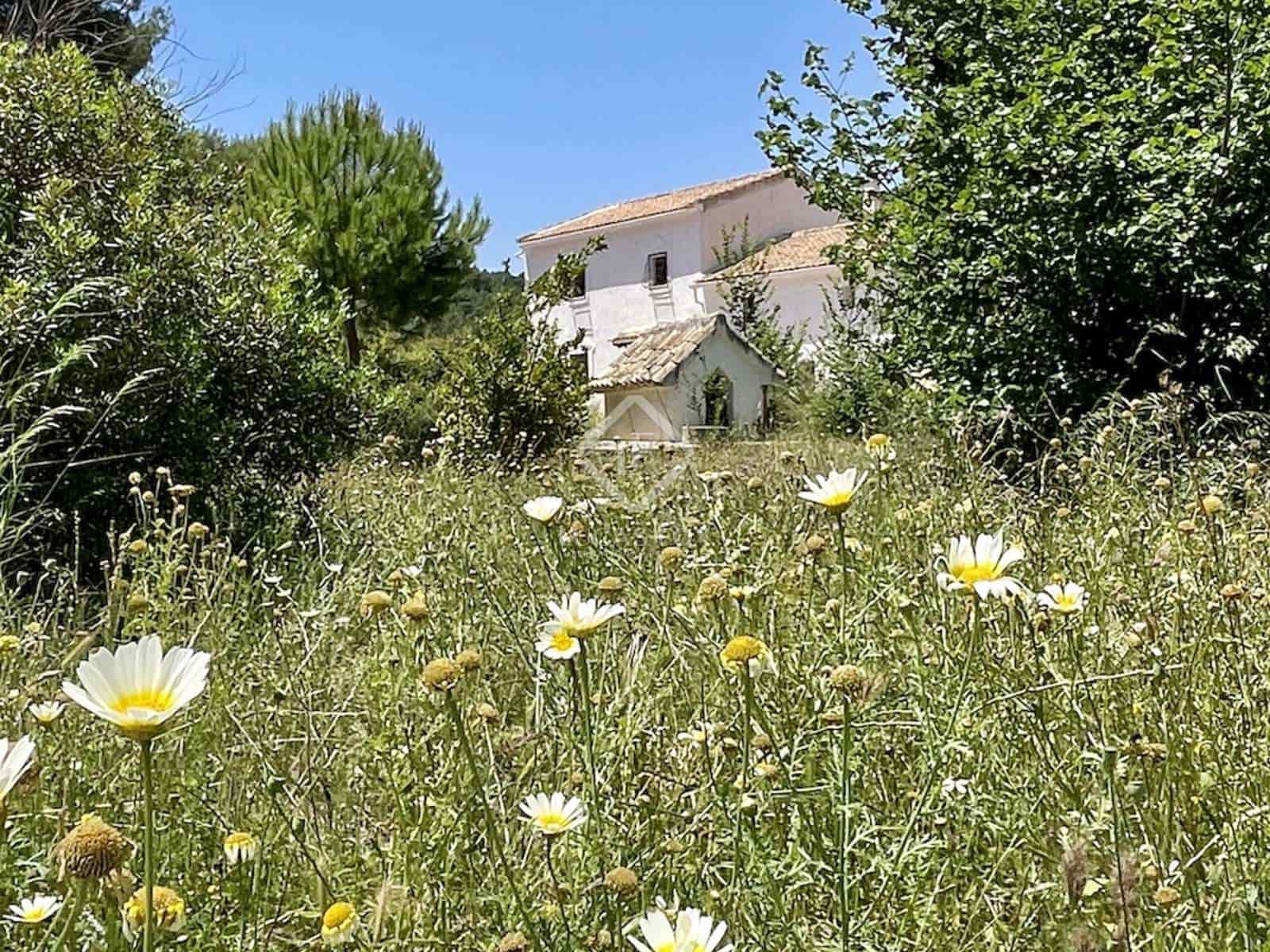 7 chambre Villa/Maison à vendre à Monovar / Monover - 2 400 000 € (Ref: 8082998)