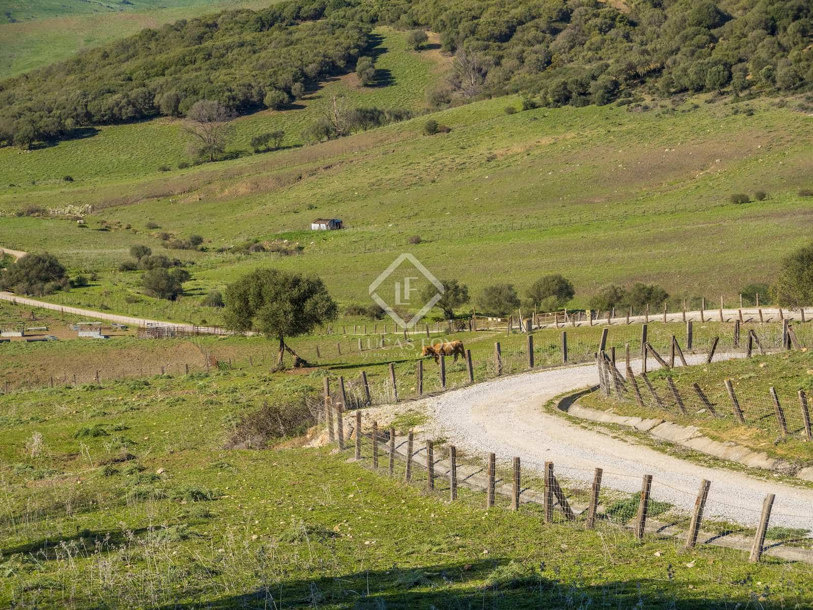 7 soveværelse Finca/Landehus til salg i Jimena de la Frontera med garage - € 5.500.000 (Ref: 8085493)