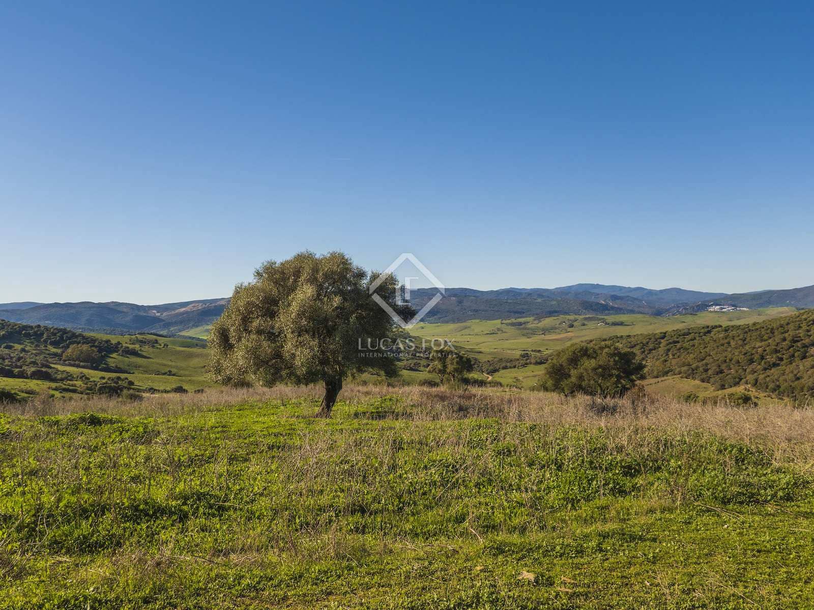 7 soveværelse Finca/Landehus til salg i Jimena de la Frontera med garage - € 5.500.000 (Ref: 8085493)