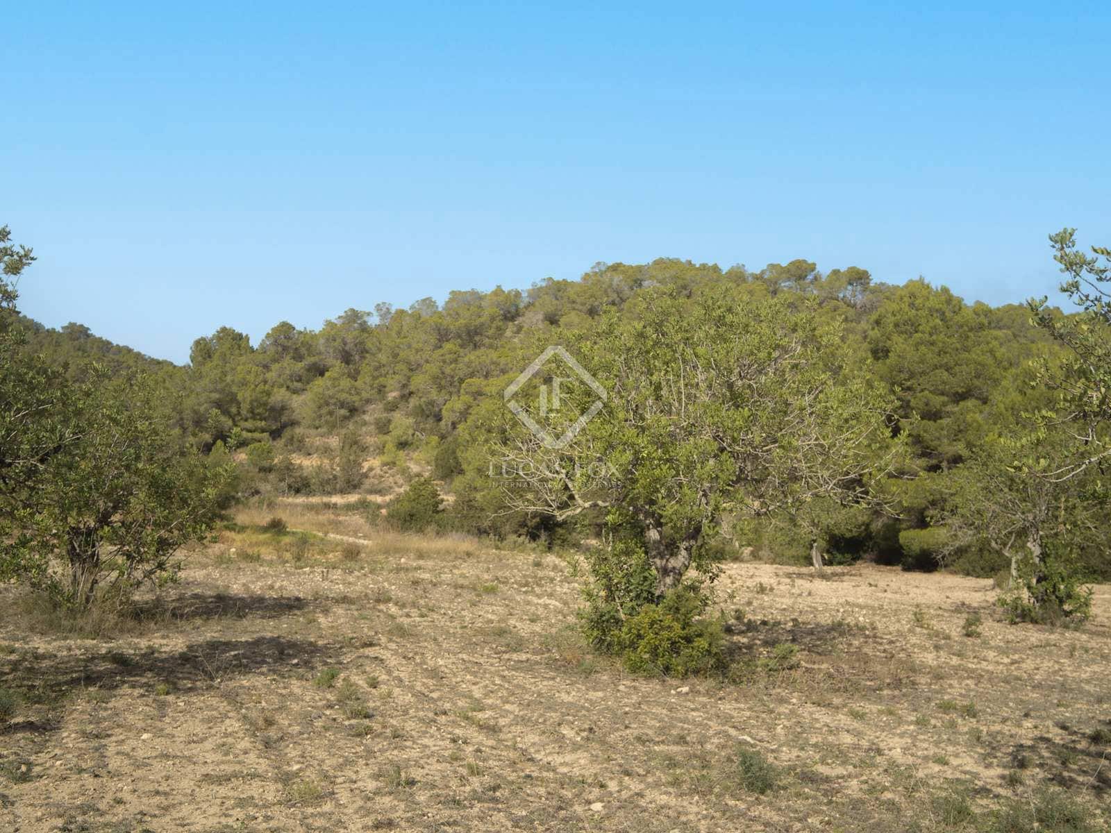 5 soveværelse Villa til salg i San Jose / Sant Josep de Sa Talaia - € 6.500.000 (Ref: 8102064)