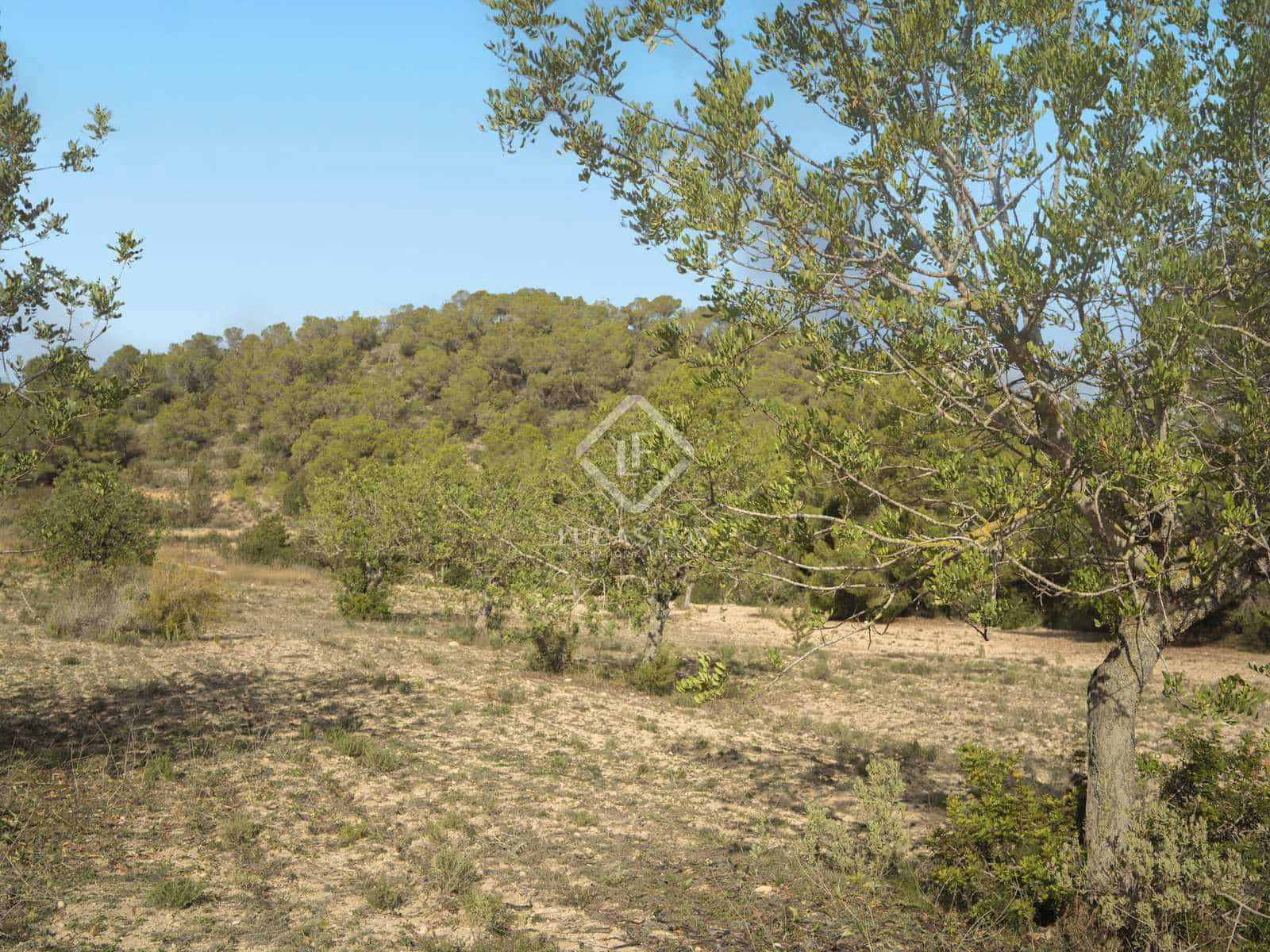 5 soveværelse Villa til salg i San Jose / Sant Josep de Sa Talaia - € 6.500.000 (Ref: 8102064)