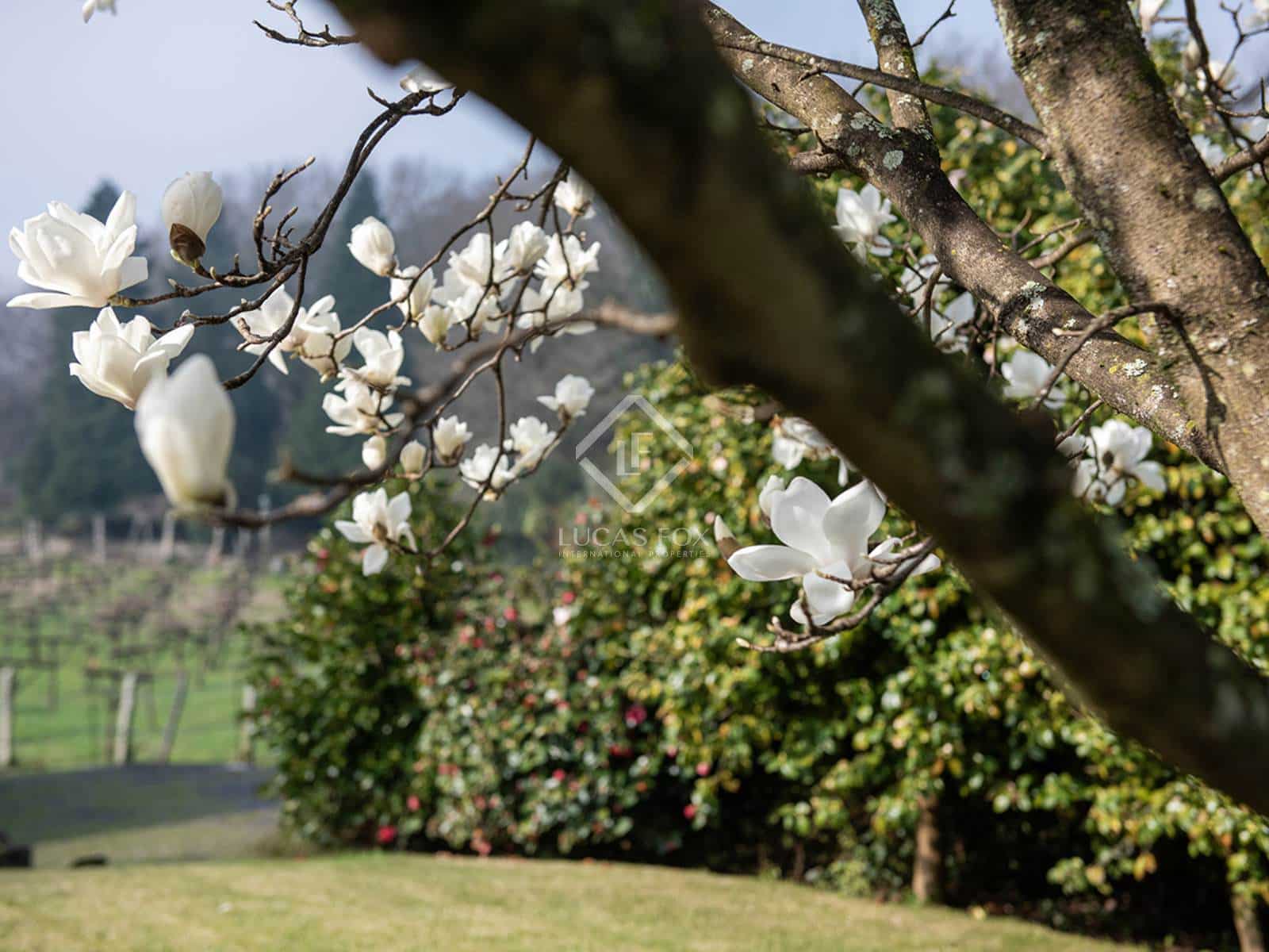 4 soveværelse Villa til salg i Tui med garage - € 415.000 (Ref: 8102075)