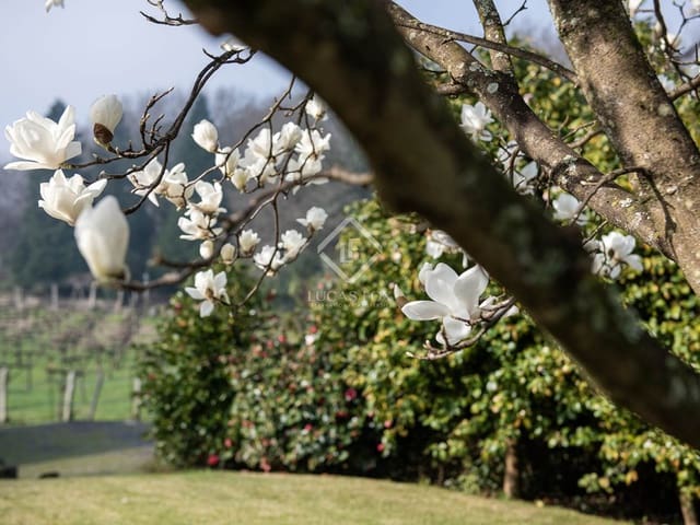 4 bedroom Villa for sale in Tui with garage - € 415,000 (Ref: 8102075)