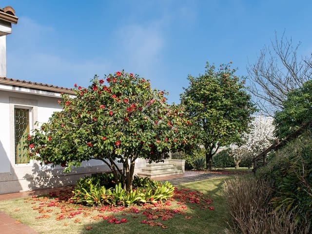 4 soveværelse Villa til salg i Tui med garage - € 415.000 (Ref: 8102075)