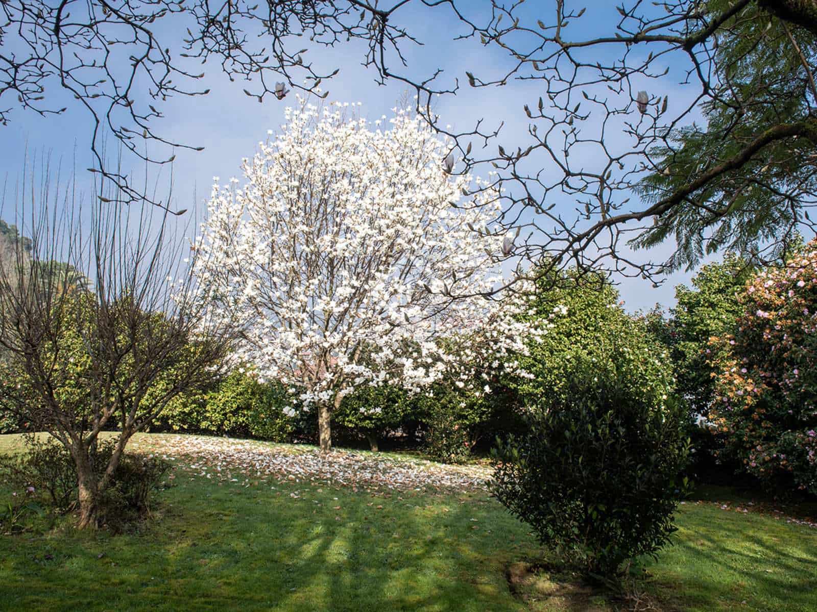 4 soveværelse Villa til salg i Tui med garage - € 415.000 (Ref: 8102075)