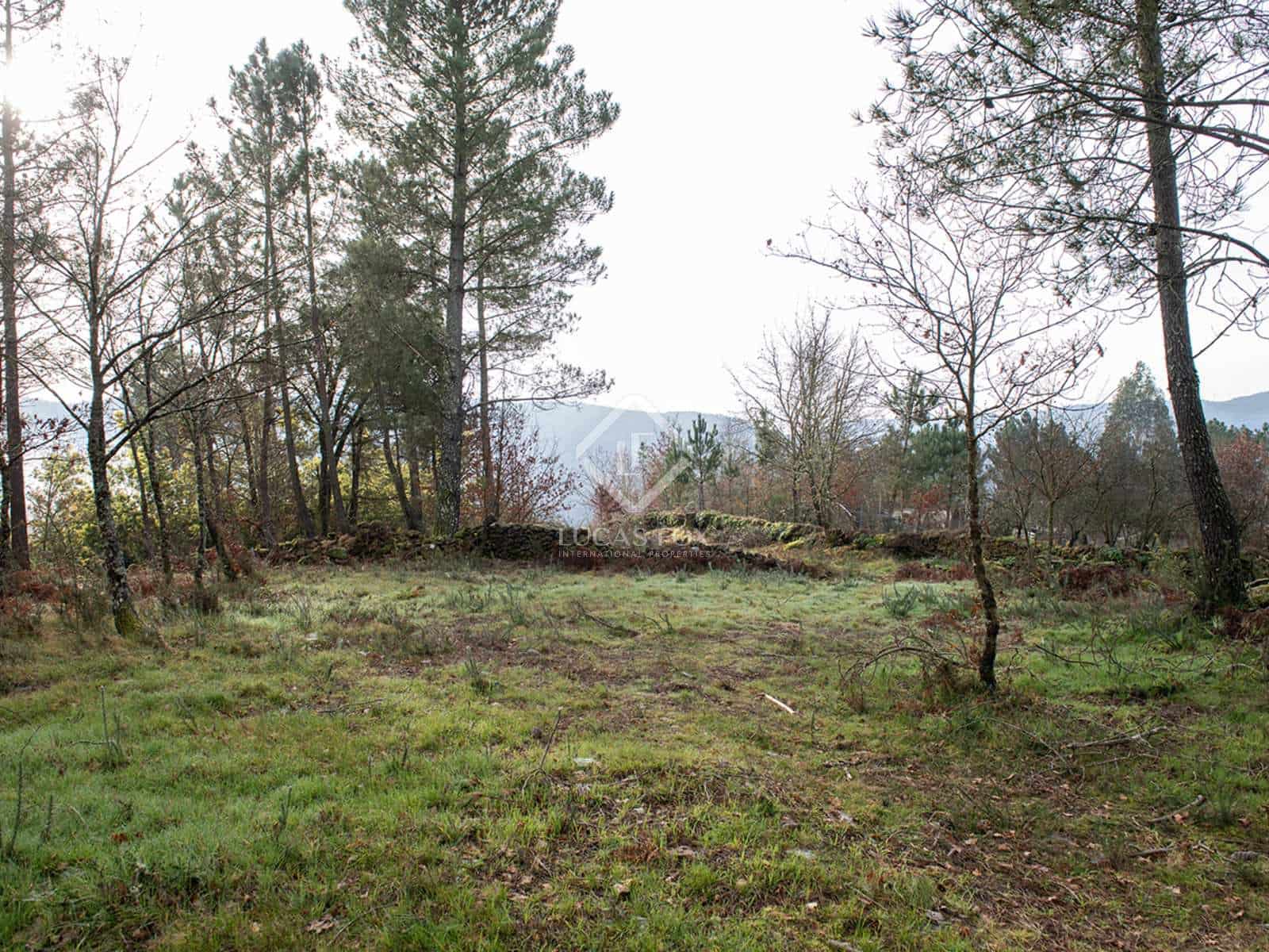 1 soveværelse Finca/Landehus til salg i Avion med garage - € 250.000 (Ref: 8132556)