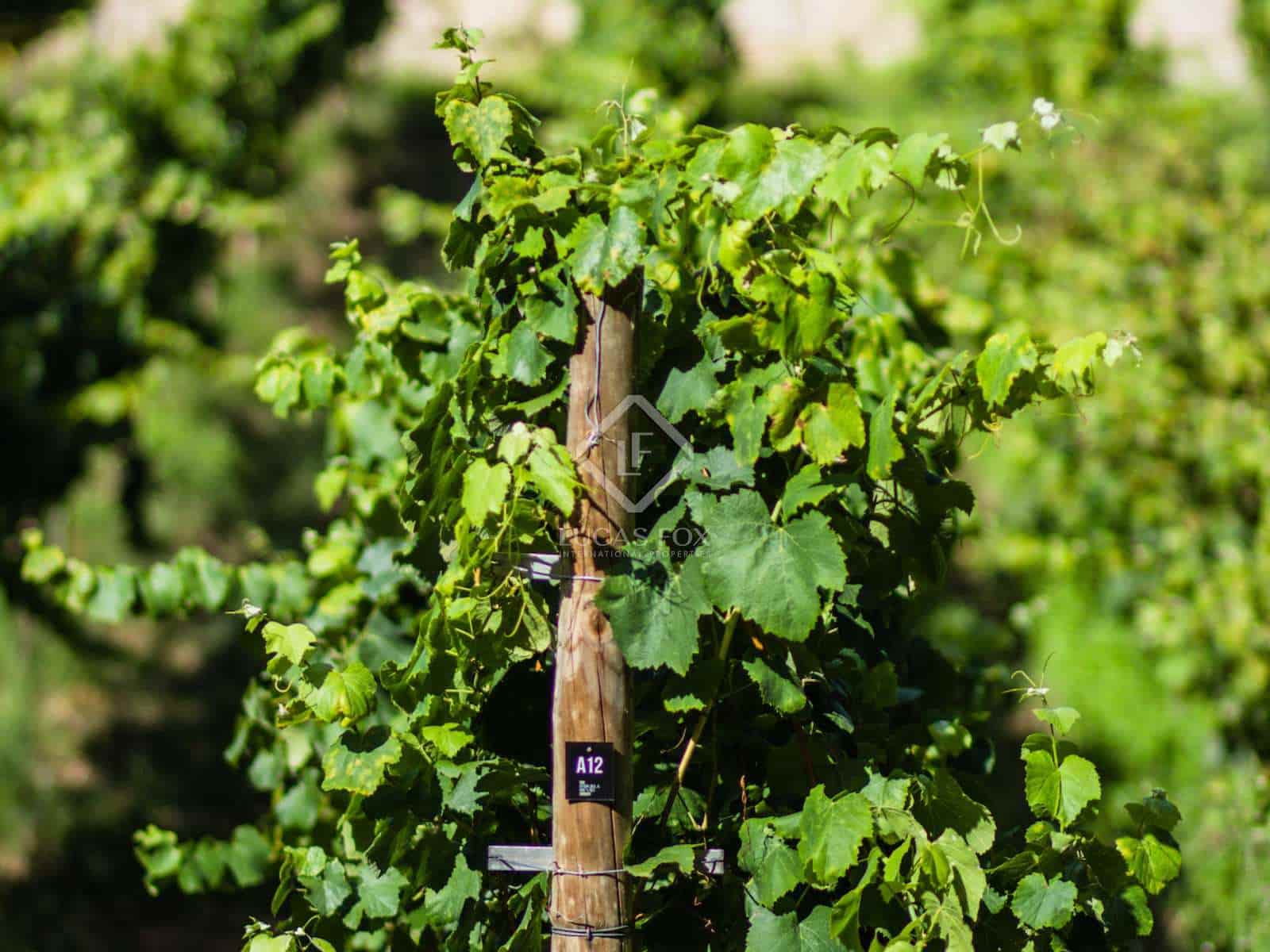 Finca/Landehus til salg i Sanxenxo med garage - € 800.000 (Ref: 8132558)