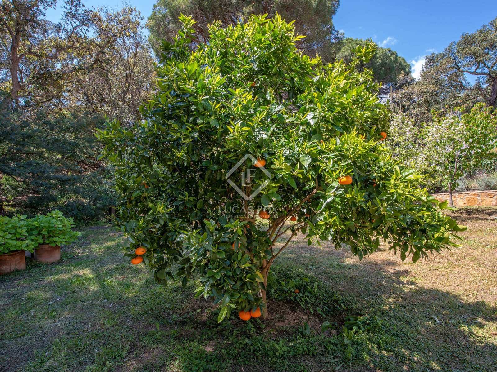 8 sypialnia Willa na sprzedaż w Platja d'Aro z garażem - 1 500 000 € (Ref: 8255011)