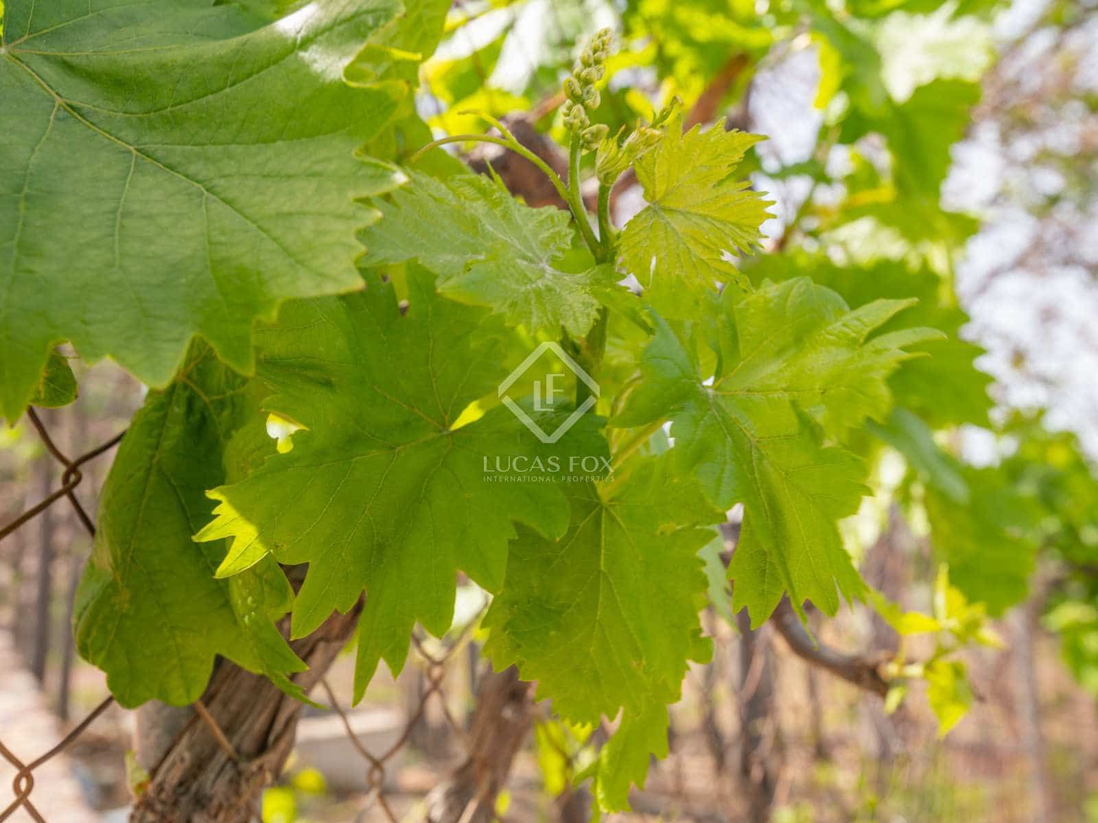 10 sypialnia Finka/Dom wiejski na sprzedaż w Miasto Malaga z basenem garażem - 2 200 000 € (Ref: 8277623)