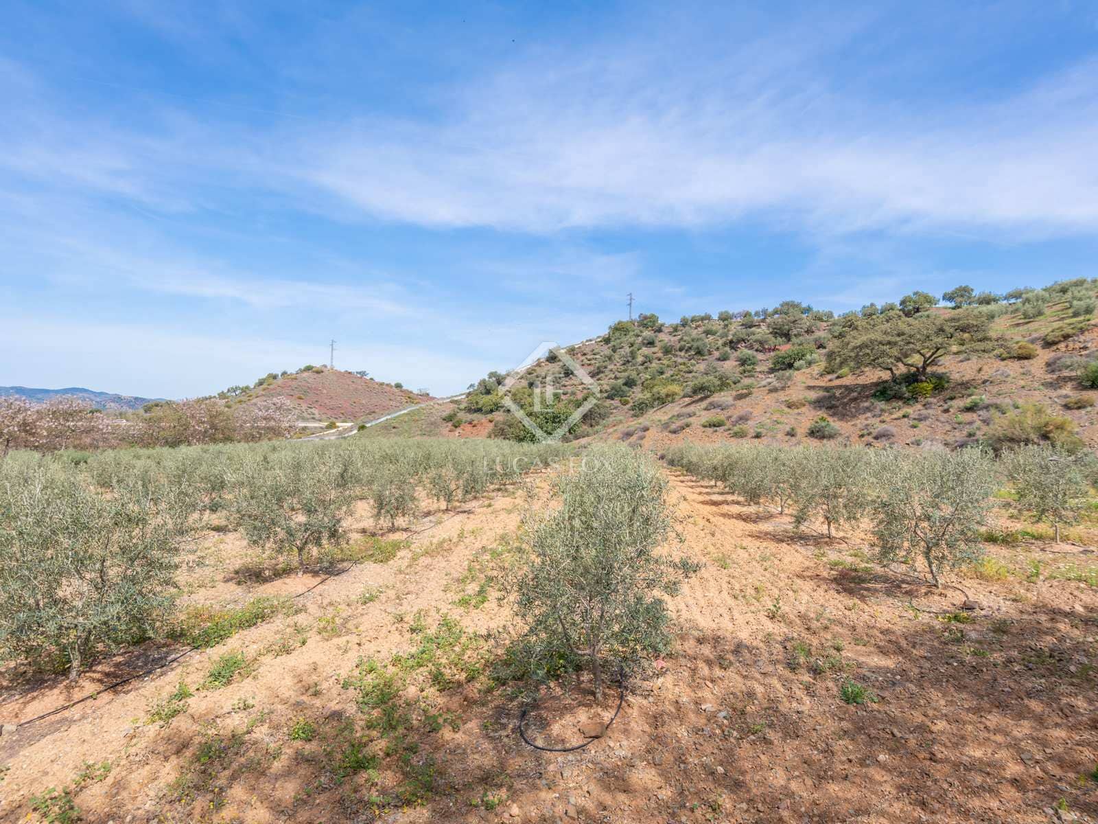 10 sypialnia Finka/Dom wiejski na sprzedaż w Miasto Malaga z basenem garażem - 2 200 000 € (Ref: 8277623)