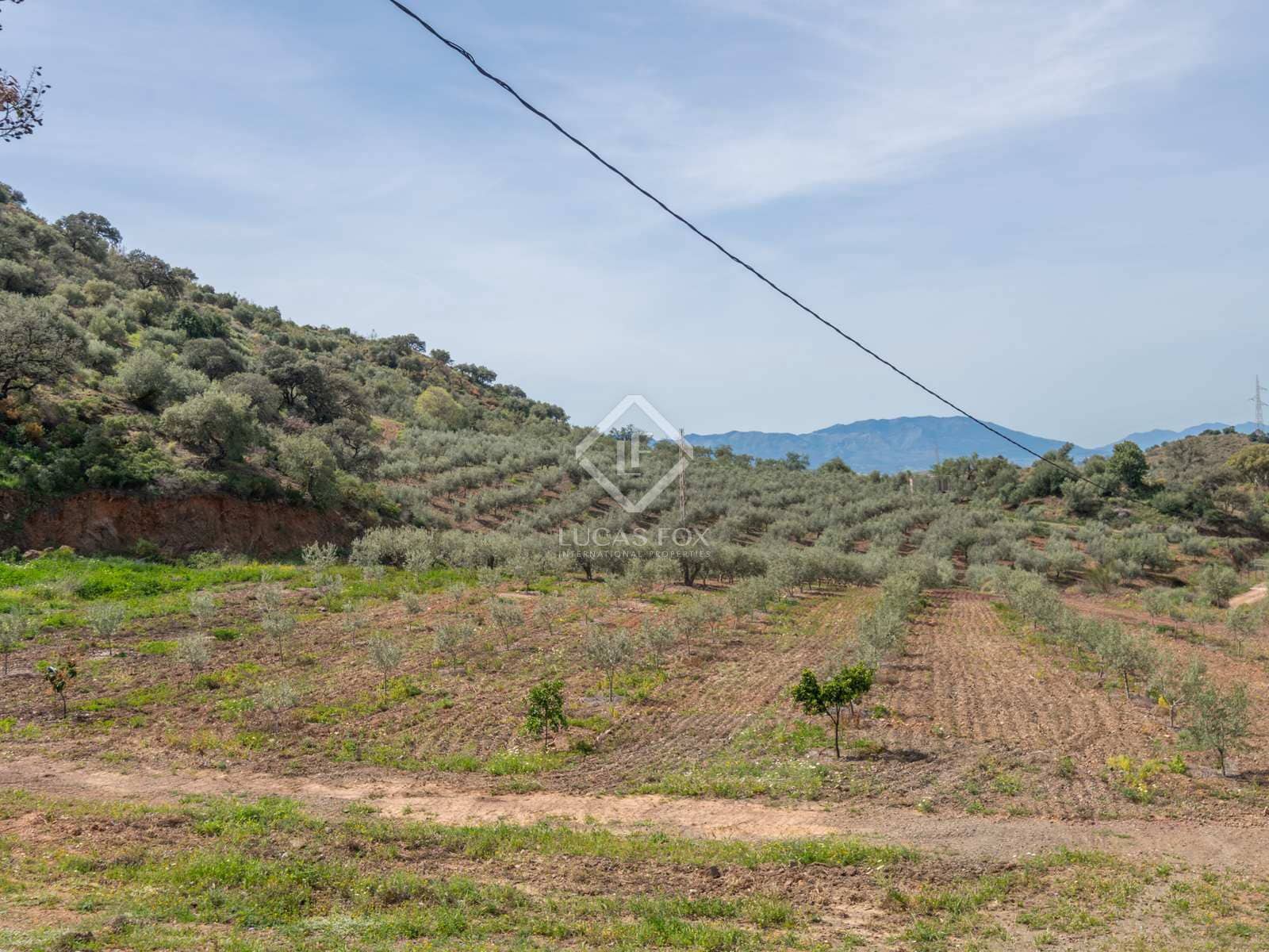 10 sypialnia Finka/Dom wiejski na sprzedaż w Miasto Malaga z basenem garażem - 2 200 000 € (Ref: 8277623)