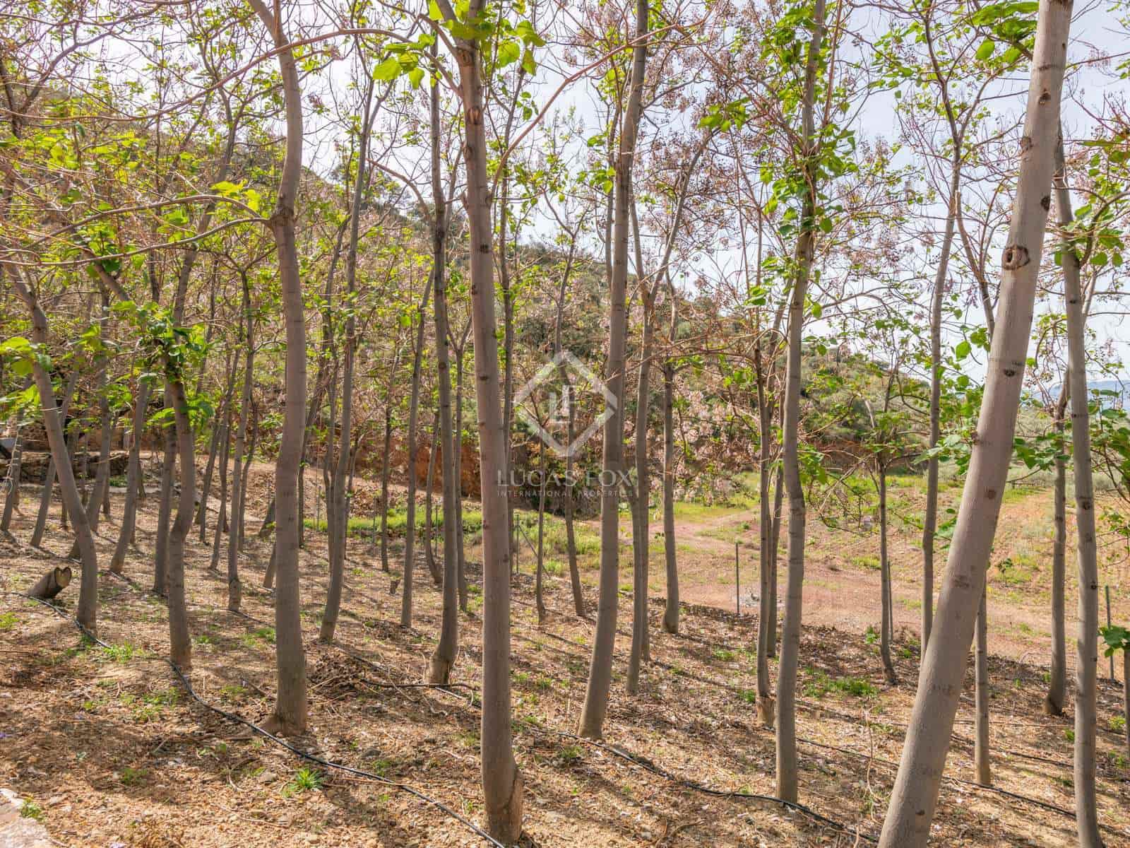 10 sypialnia Finka/Dom wiejski na sprzedaż w Miasto Malaga z basenem garażem - 2 200 000 € (Ref: 8277623)